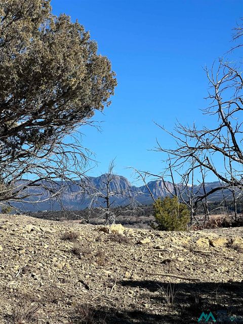 Vacant Land For Sale - Willow Road<br/> Los Ojos, NM 87551