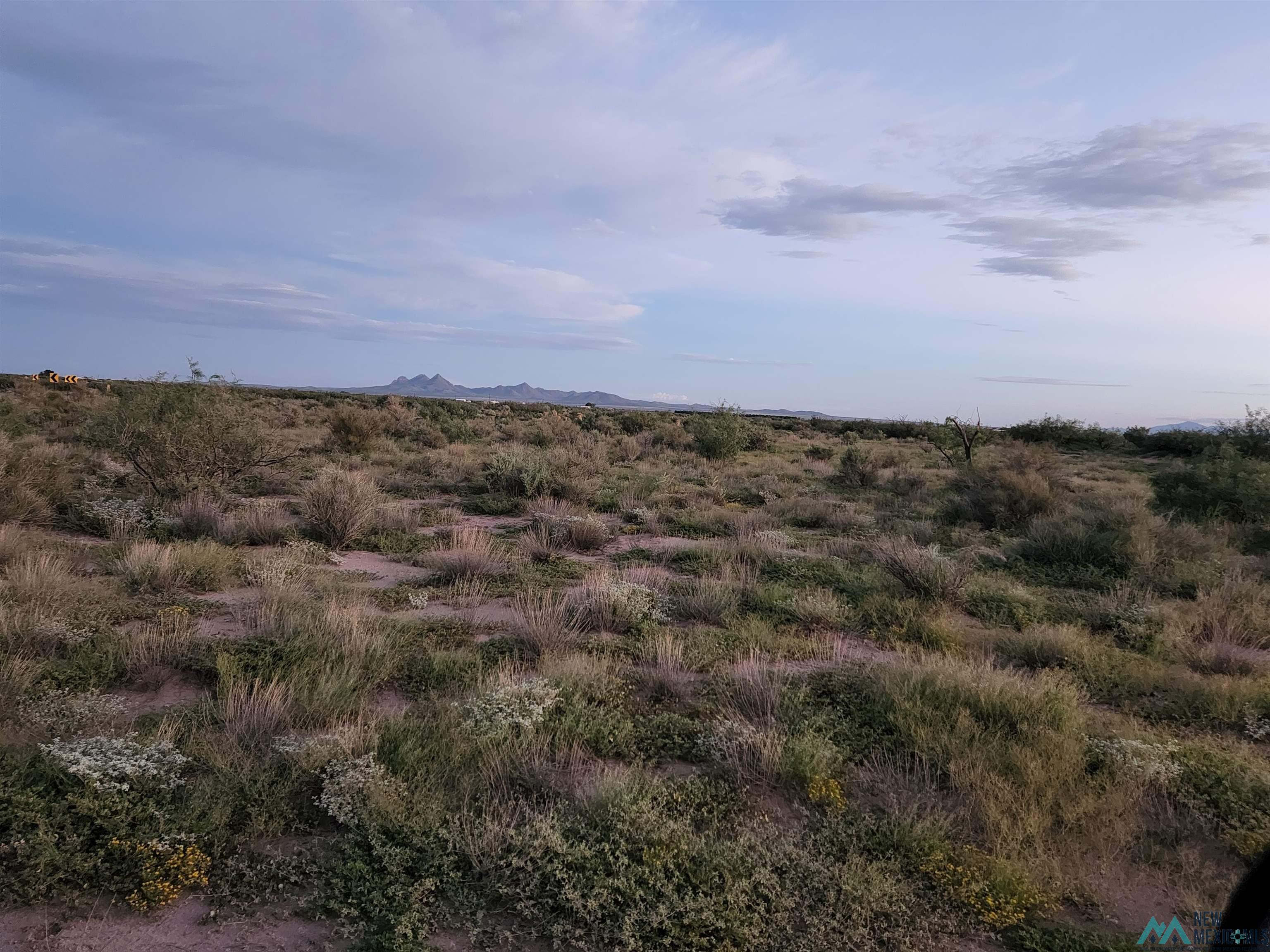 00 Americana Rd Sw Road, Deming, New Mexico image 1