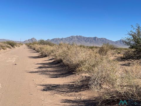 Homes For Sale - XXXX Pinto Rd Sw<br/> Deming, NM 88030