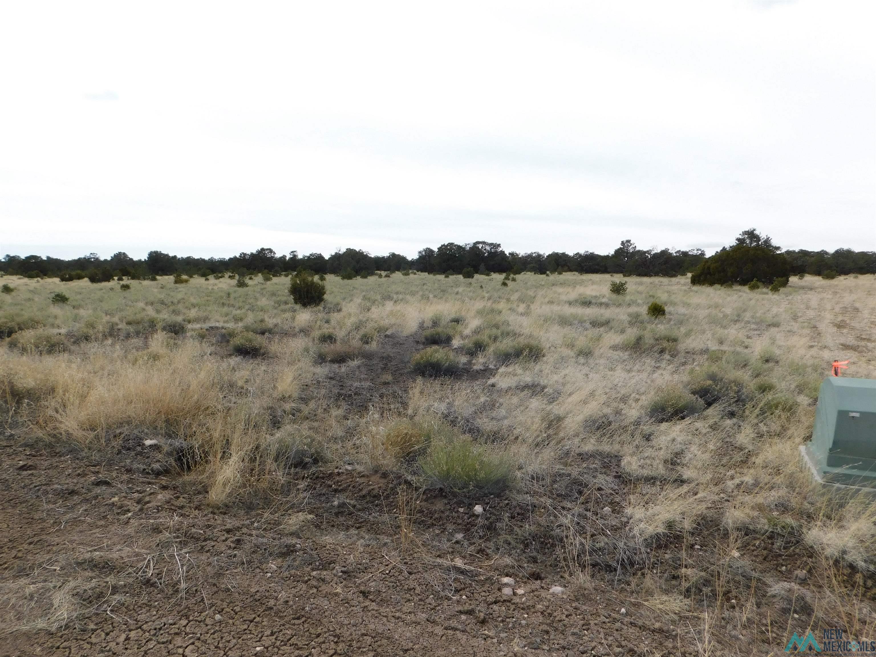 LOT 81 Artesian Avenue, Quemado, New Mexico image 2