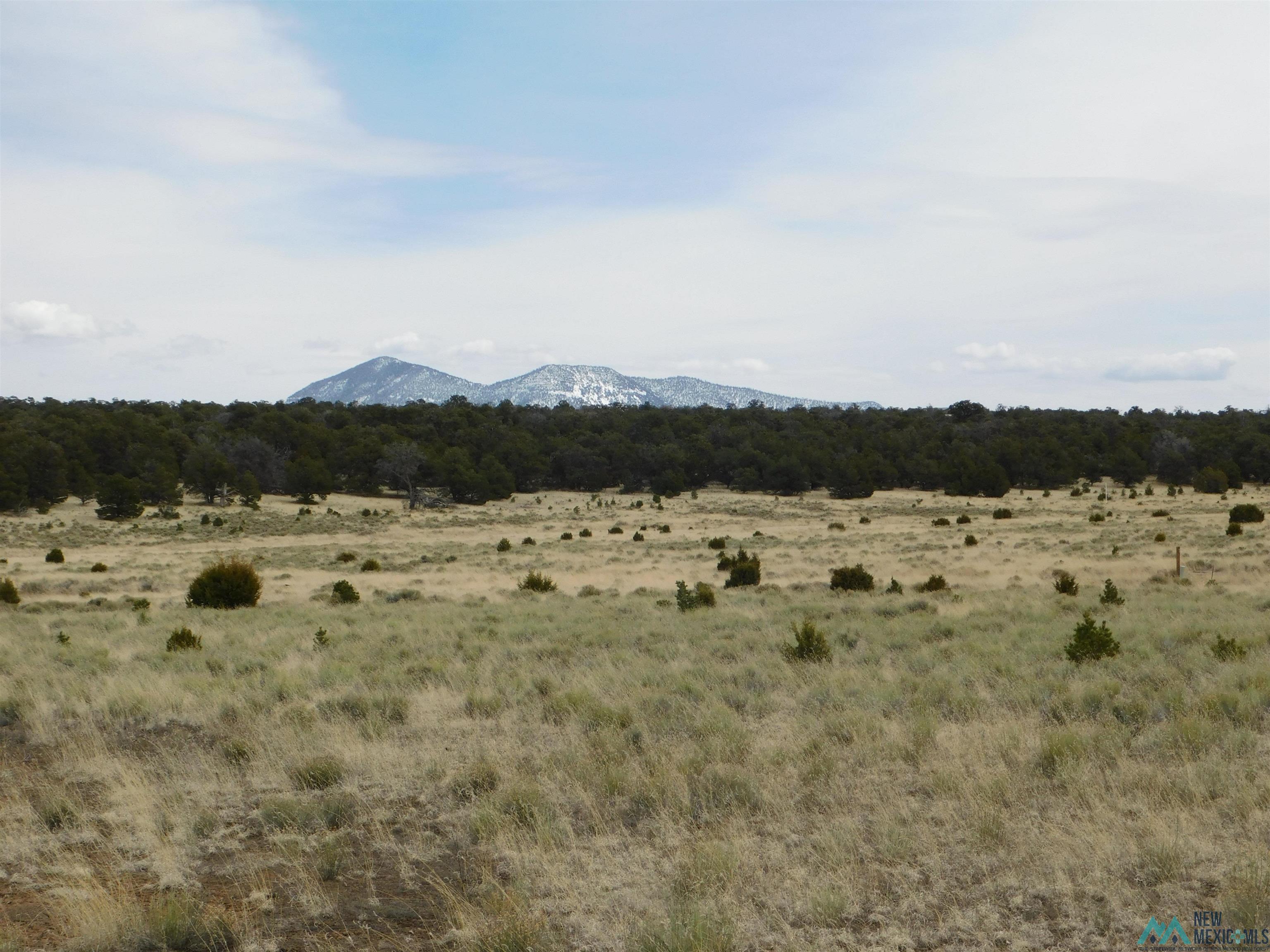 LOT 81 Artesian Avenue, Quemado, New Mexico image 3