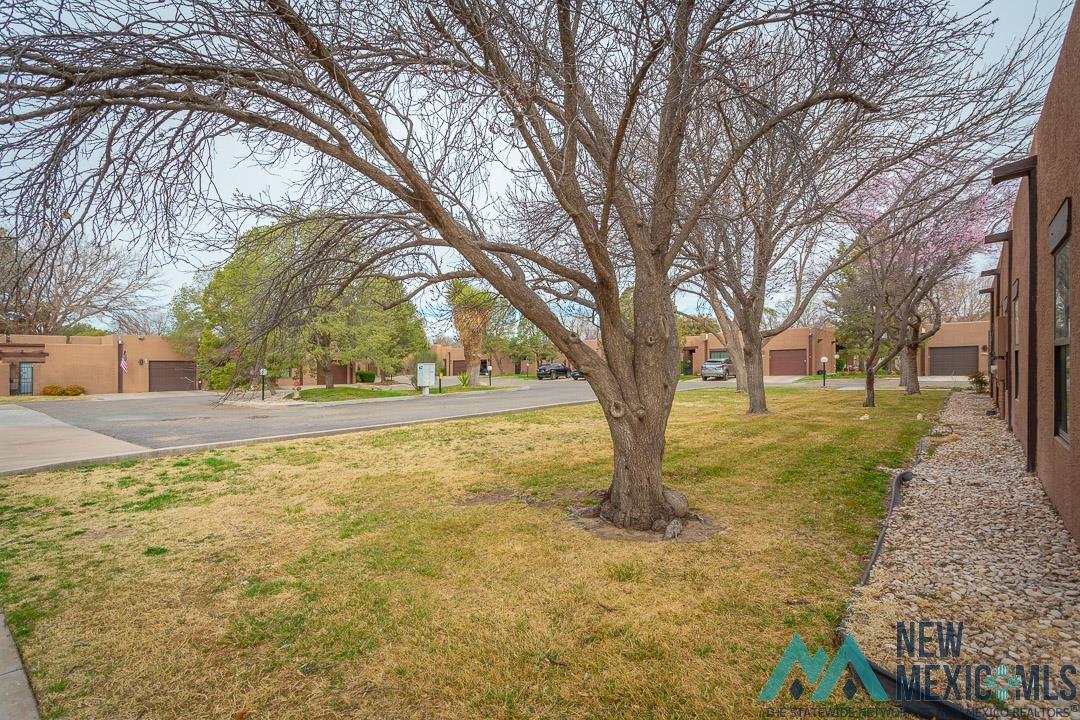 2616 N Pennsylvania Avenue, Roswell, Texas image 5