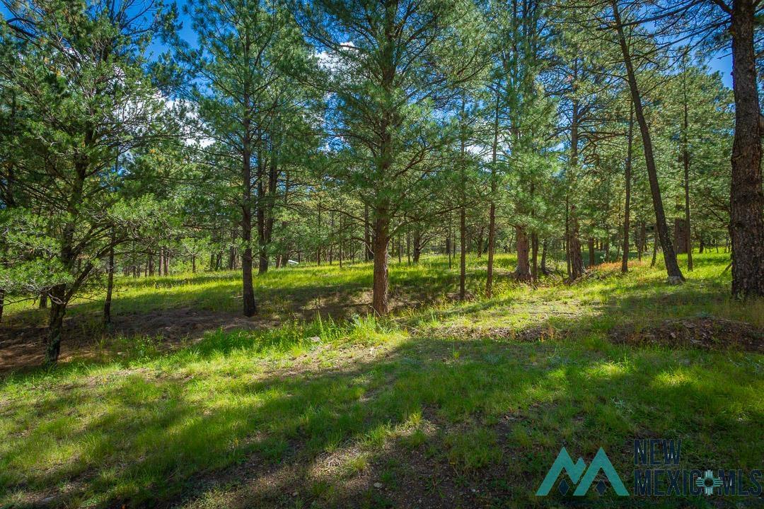 Alto, New Mexico 88312, United States, 3 Bedrooms Bedrooms, ,3 BathroomsBathrooms,Residential,Active,232361