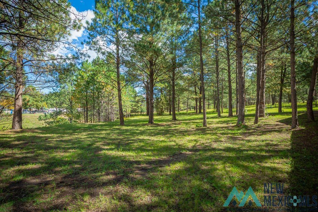 Alto, New Mexico 88312, United States, 3 Bedrooms Bedrooms, ,3 BathroomsBathrooms,Residential,Active,232361