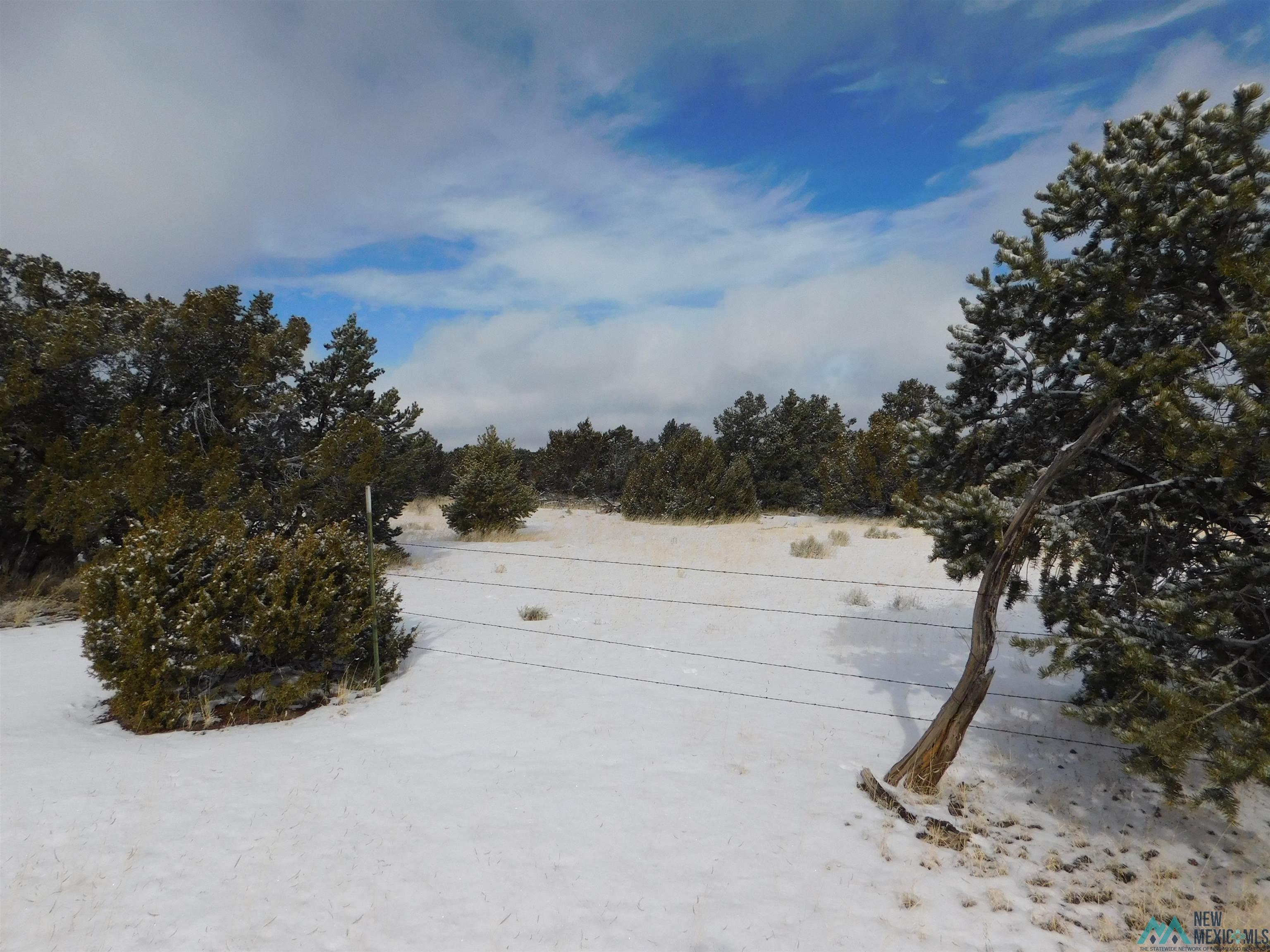 LOT 26 Spring Circle, Quemado, New Mexico image 6