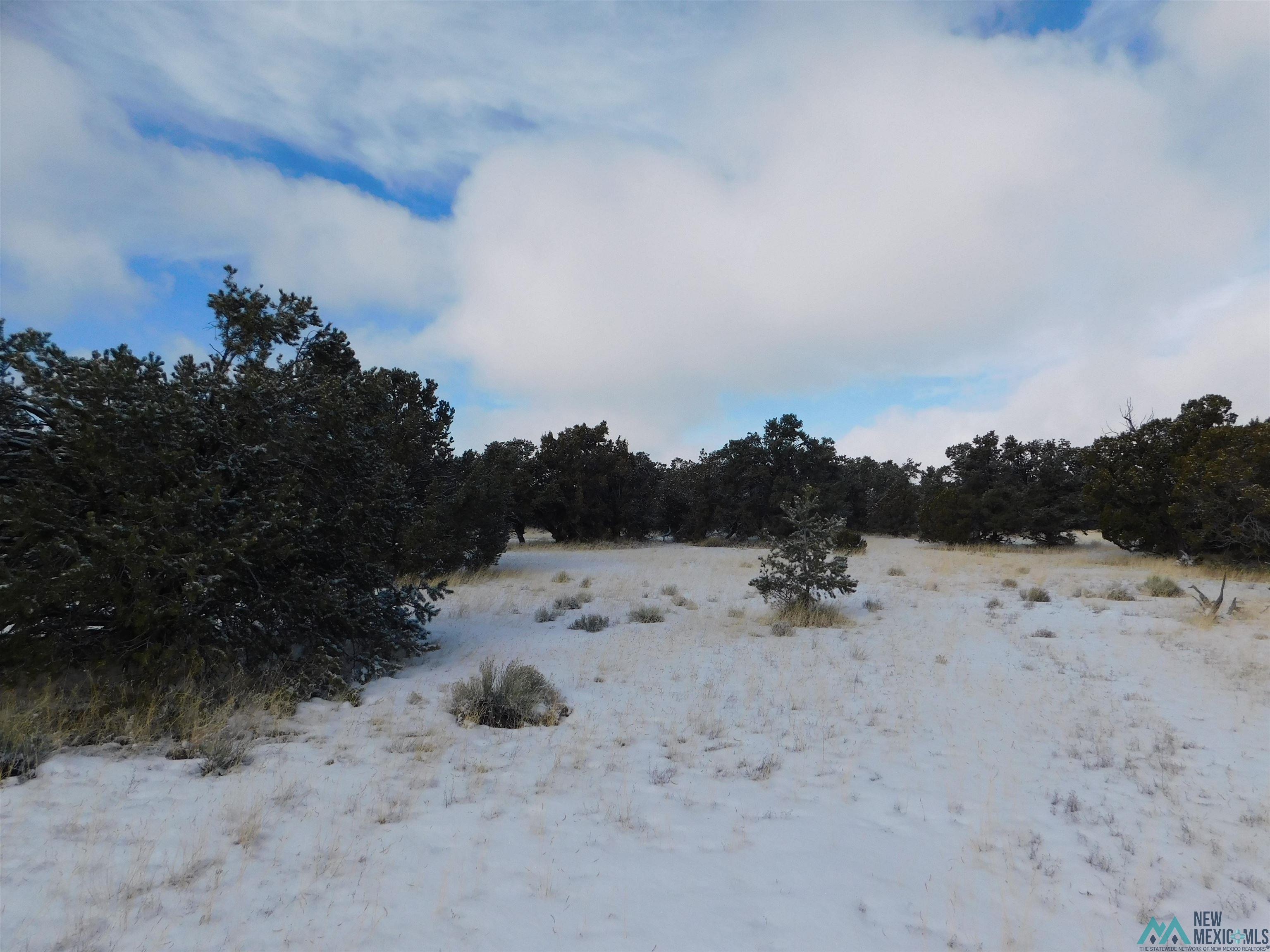 LOT 26 Spring Circle, Quemado, New Mexico image 8