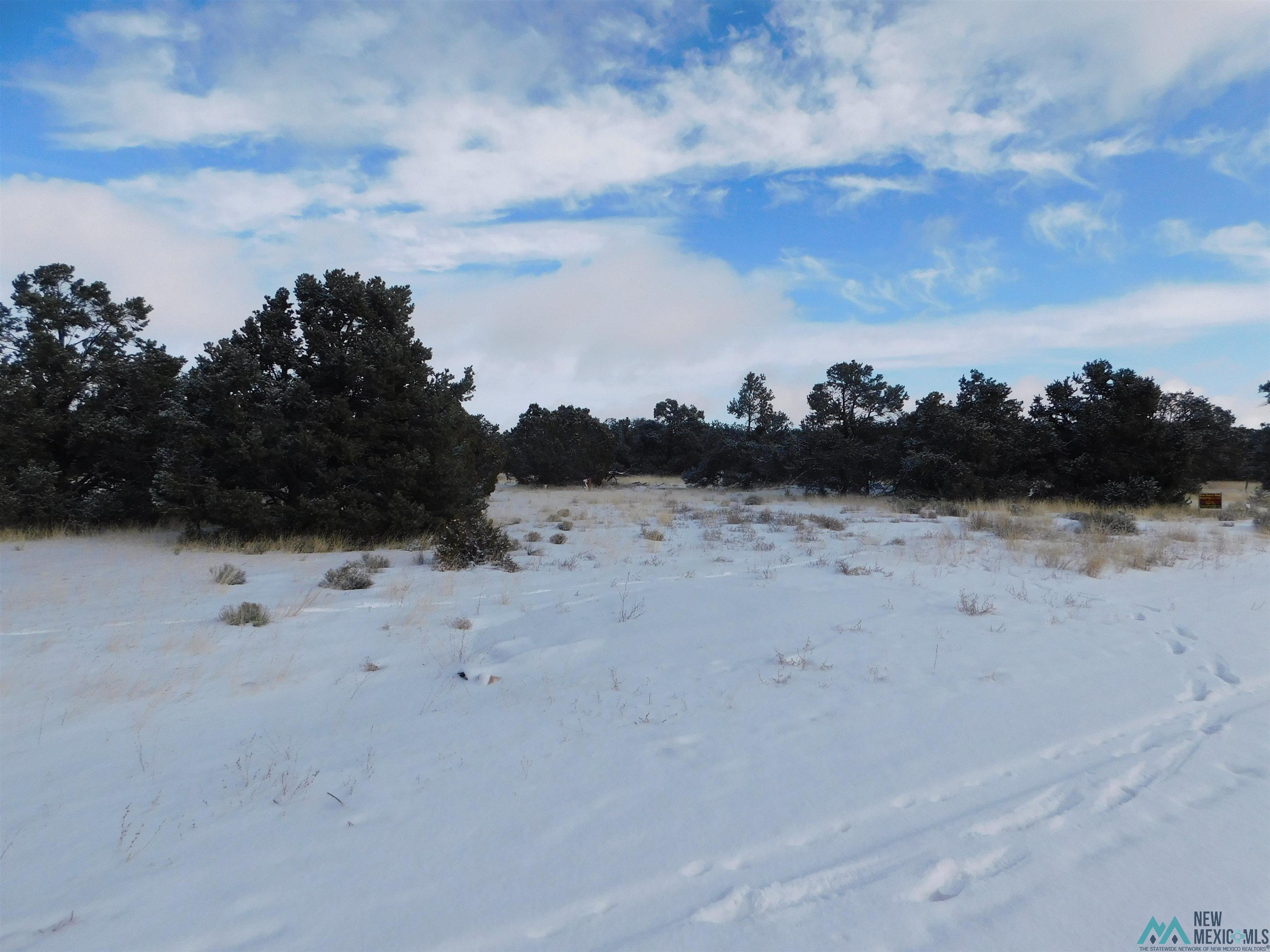 LOT 26 Spring Circle, Quemado, New Mexico image 3