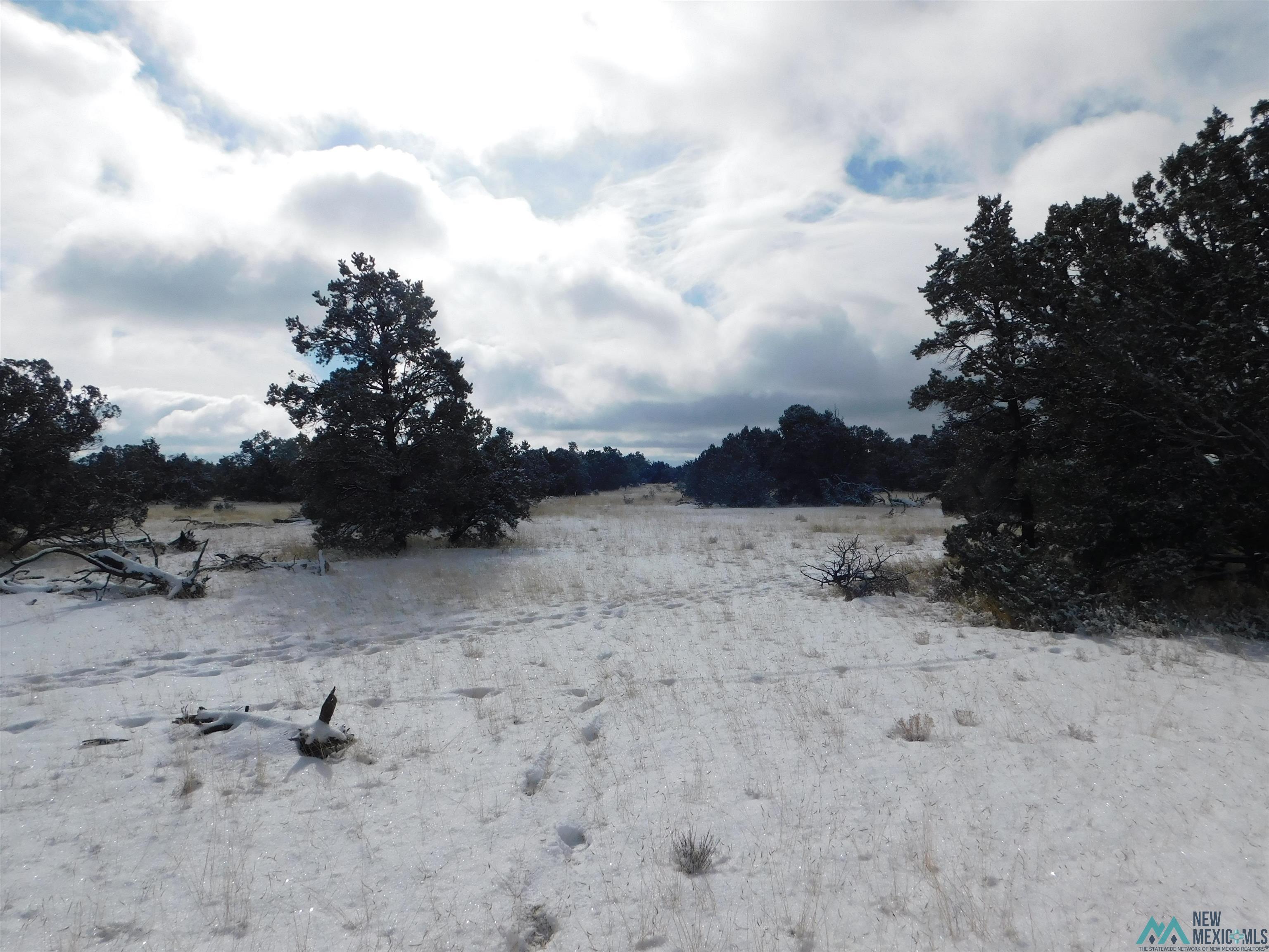 LOT 26 Spring Circle, Quemado, New Mexico image 11