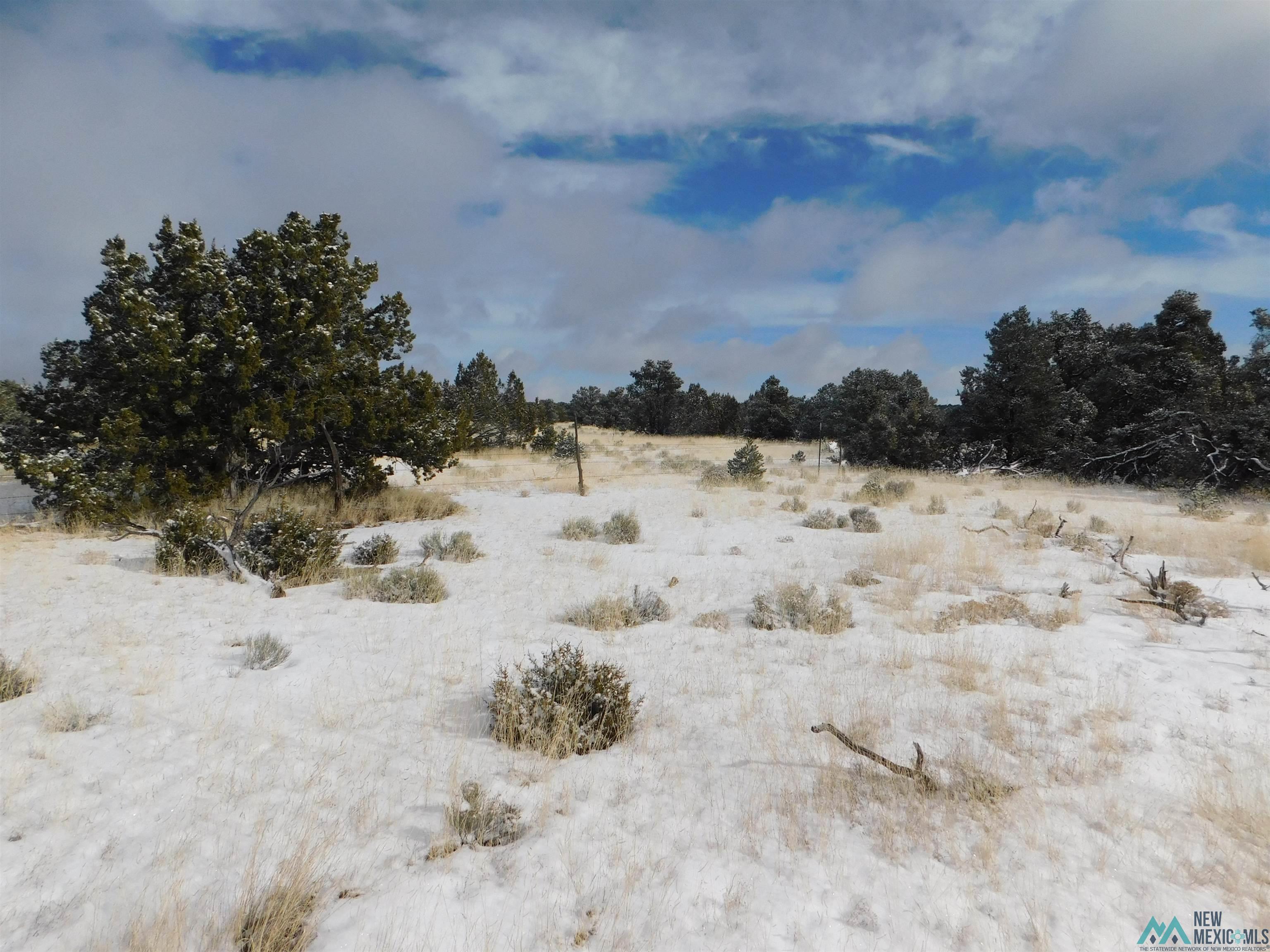 LOT 26 Spring Circle, Quemado, New Mexico image 5