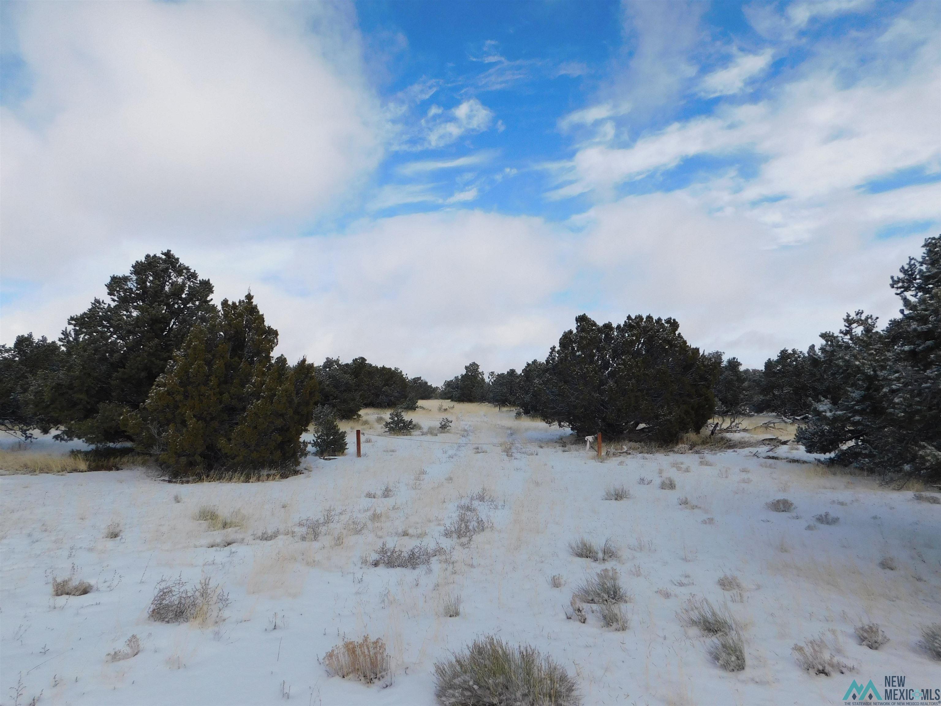 LOT 26 Spring Circle, Quemado, New Mexico image 4