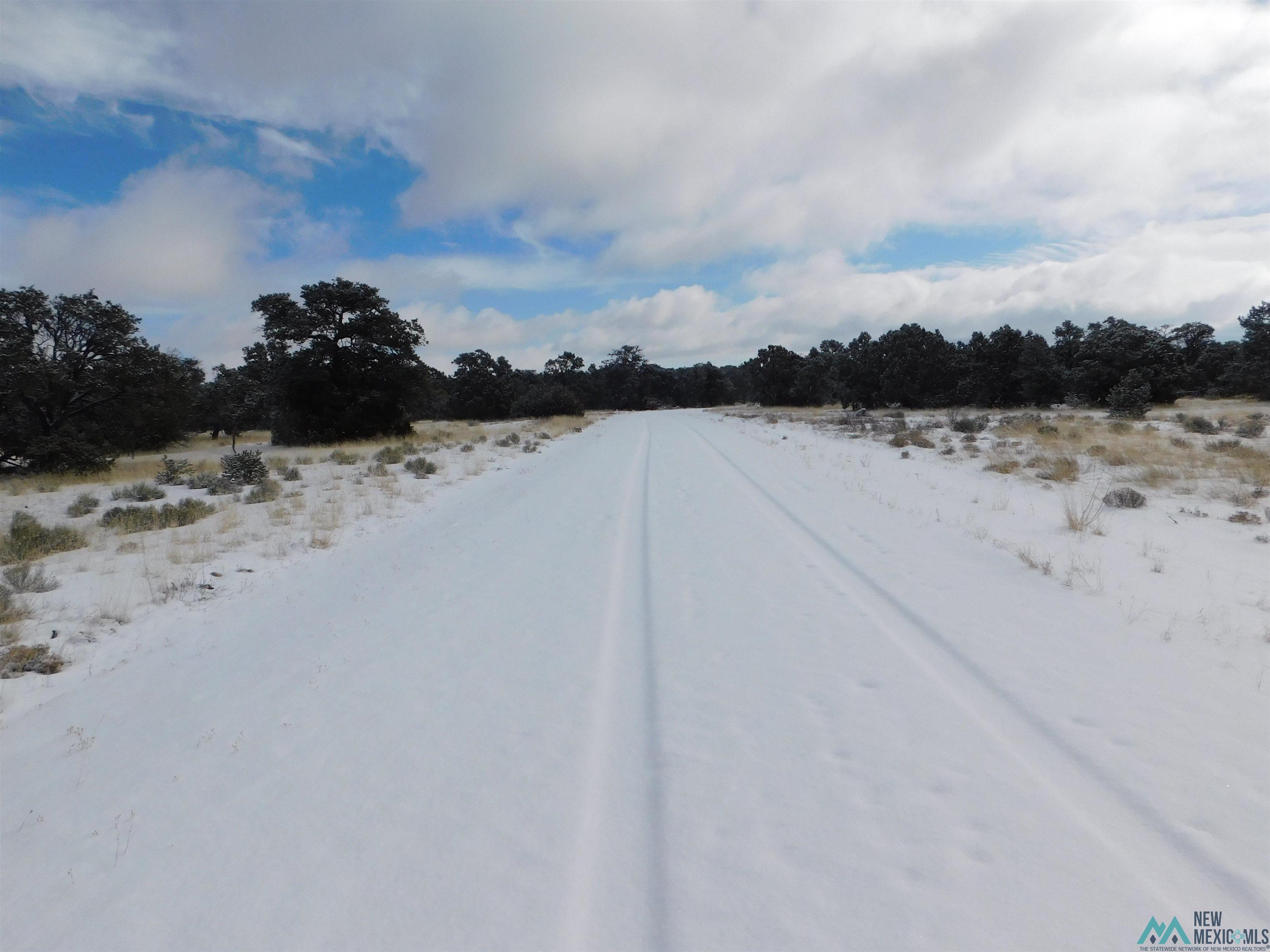 LOT 26 Spring Circle, Quemado, New Mexico image 14