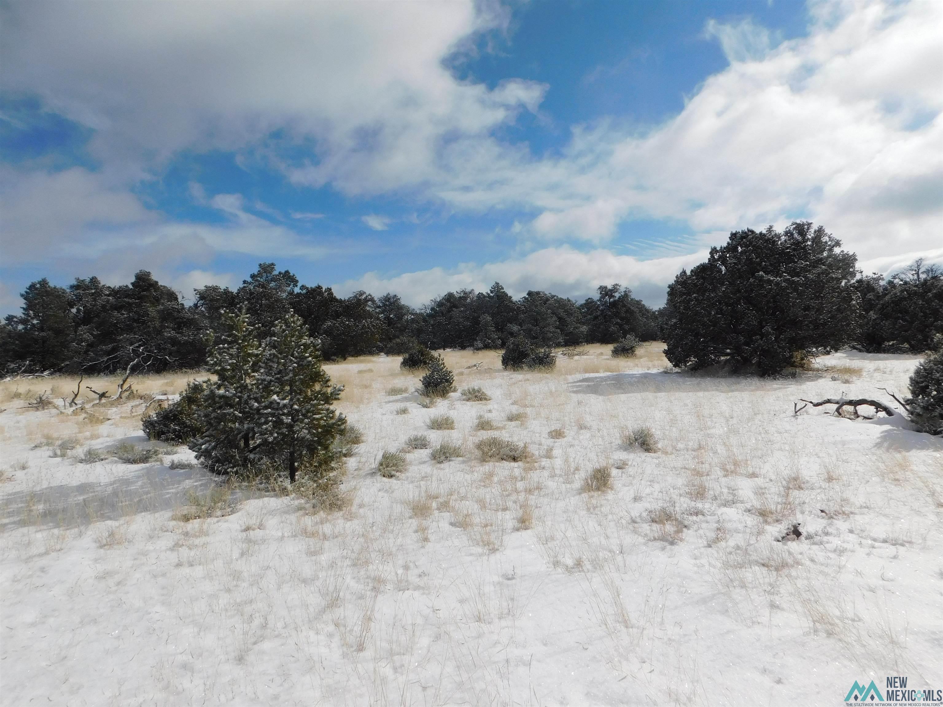 LOT 26 Spring Circle, Quemado, New Mexico image 12