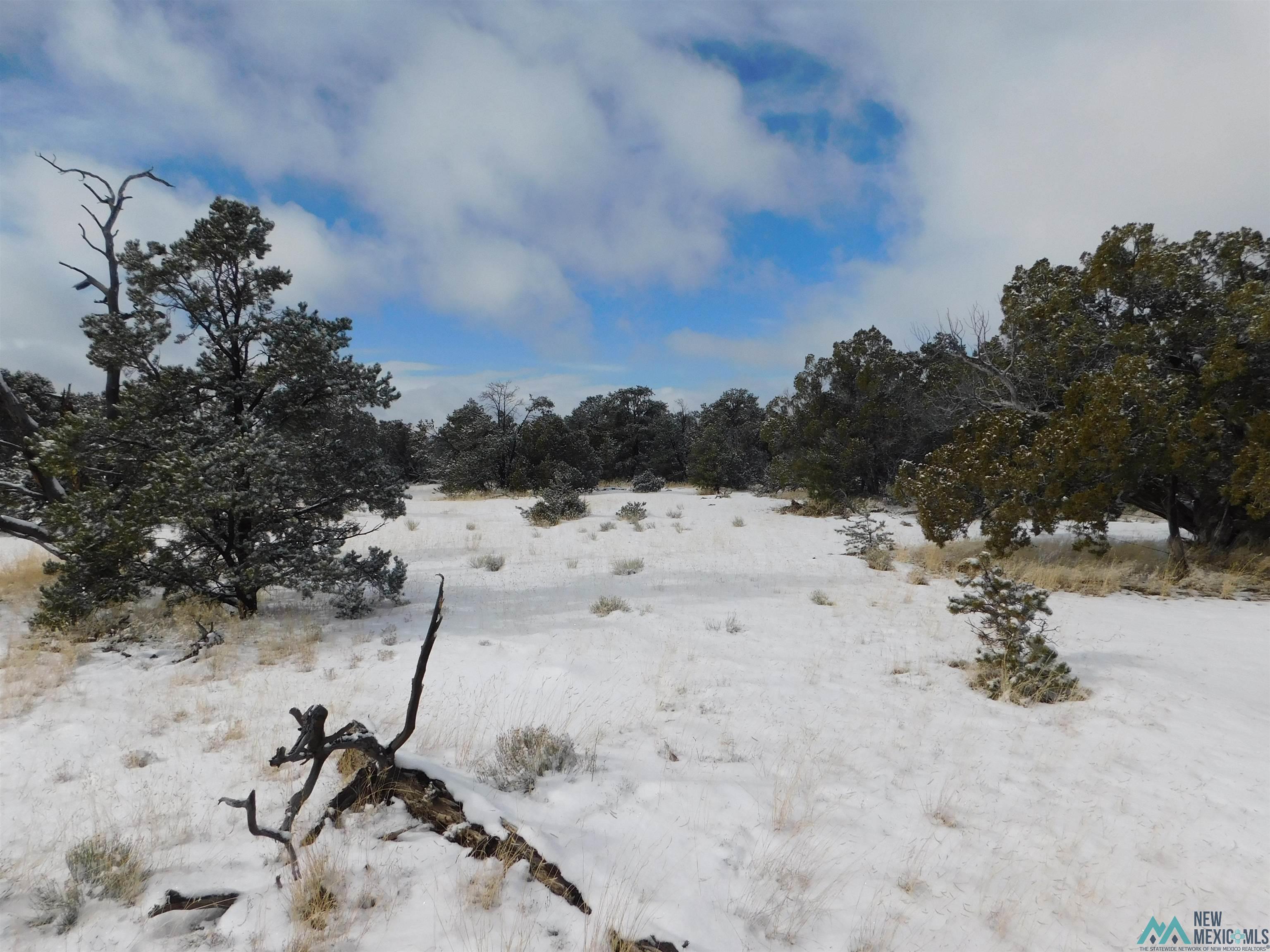 LOT 26 Spring Circle, Quemado, New Mexico image 13