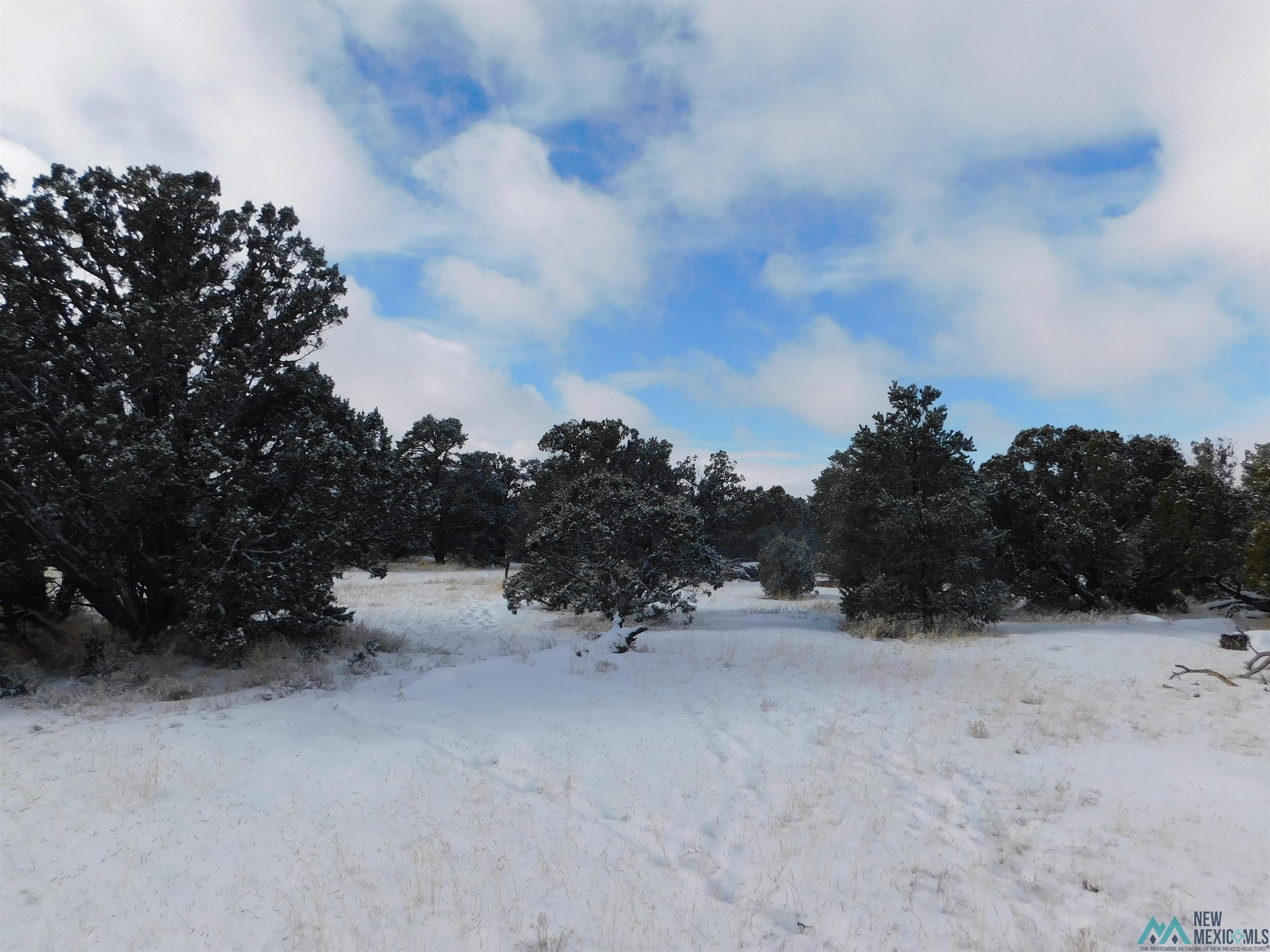 LOT 26 Spring Circle, Quemado, New Mexico image 10