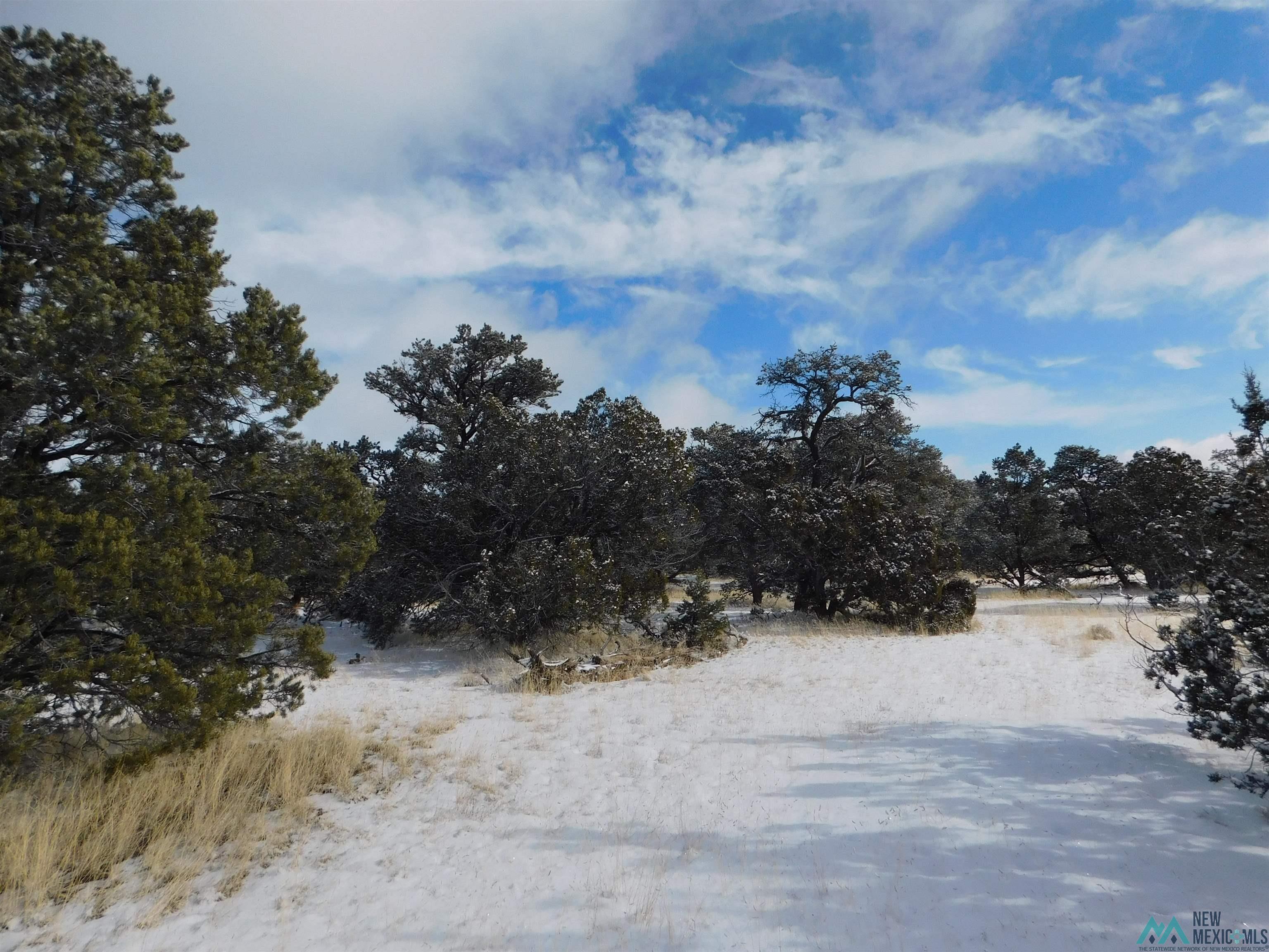 LOT 26 Spring Circle, Quemado, New Mexico image 2