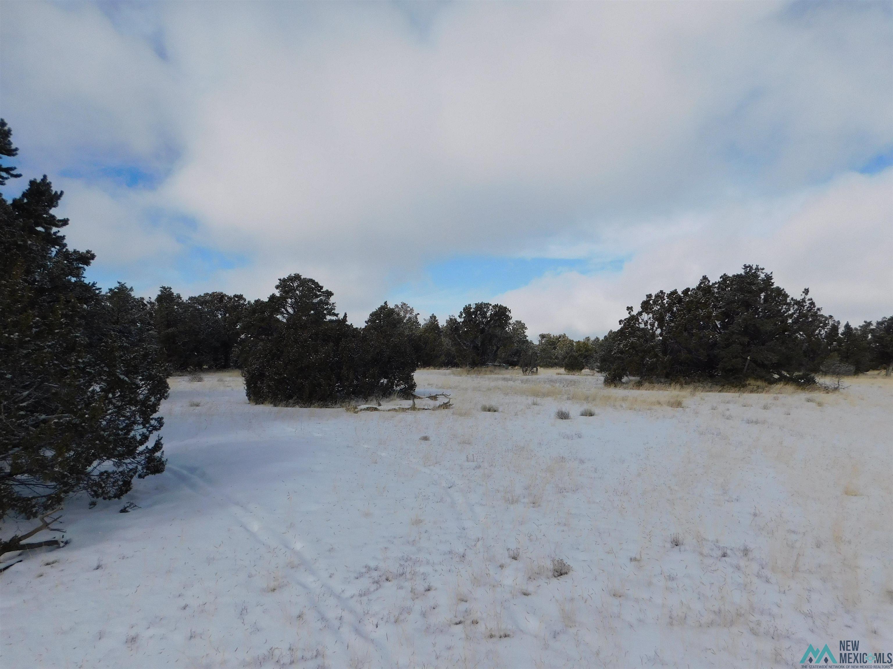 LOT 26 Spring Circle, Quemado, New Mexico image 9