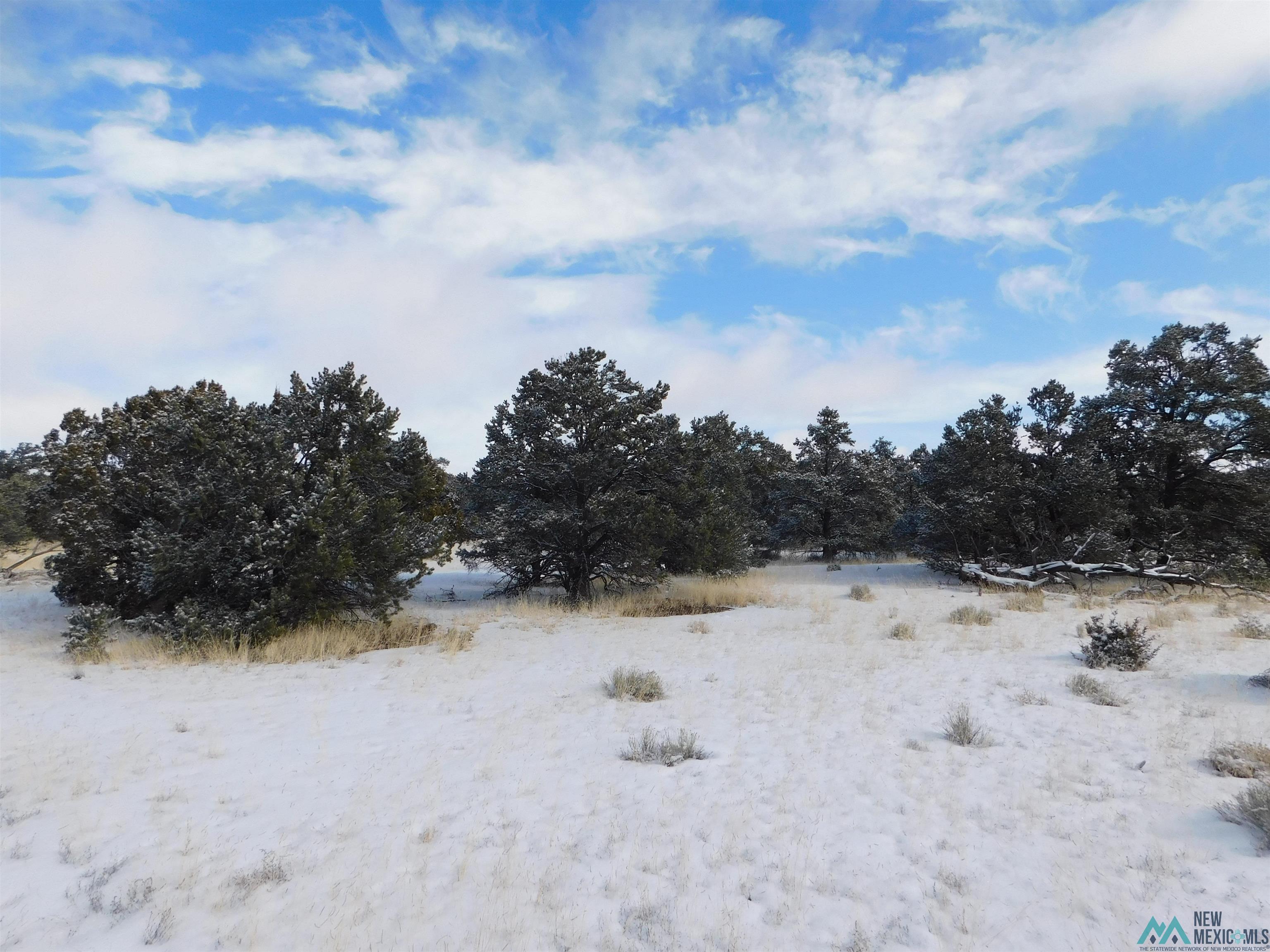 LOT 26 Spring Circle, Quemado, New Mexico image 7