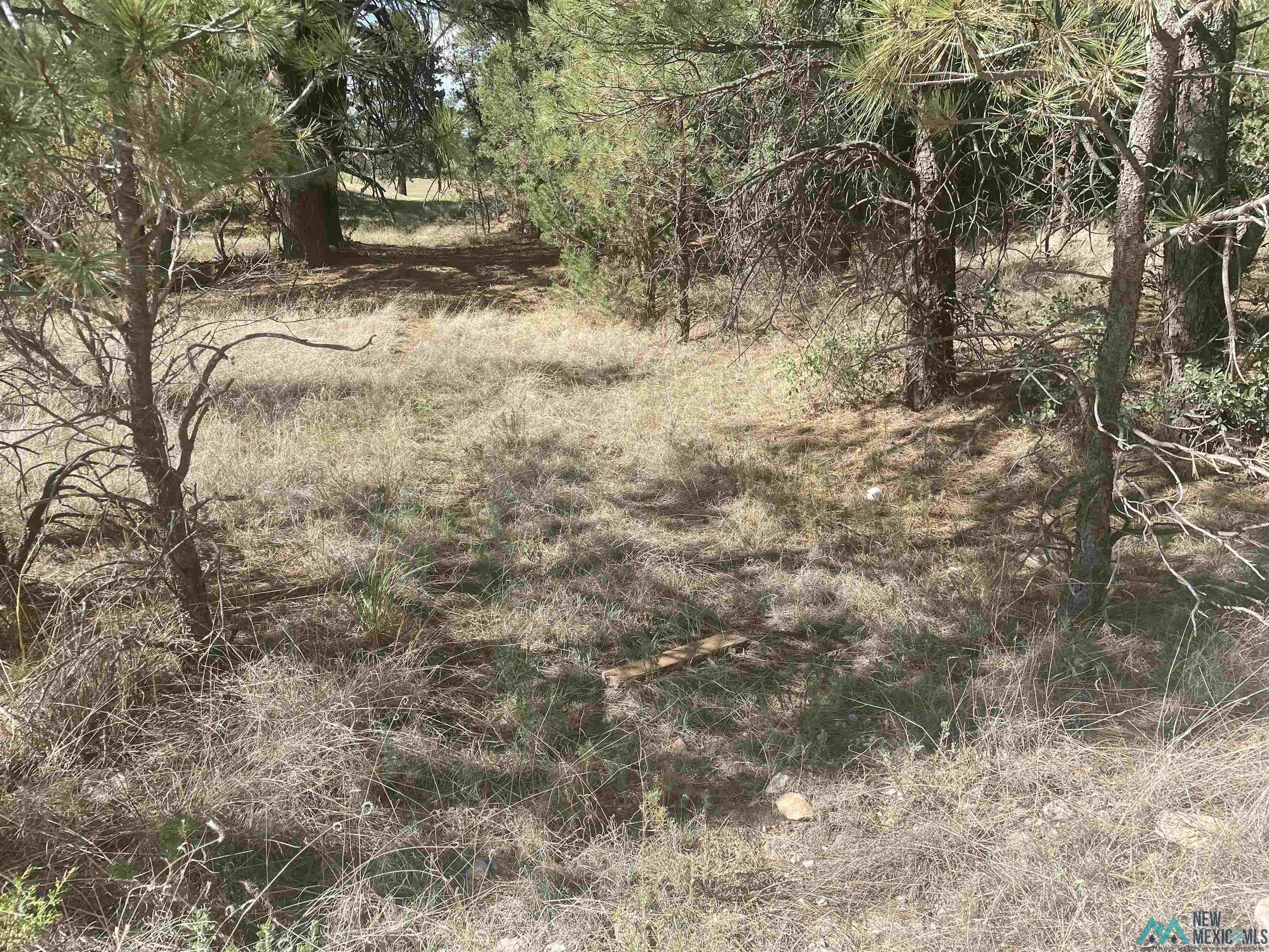 139 El Dorado Drive, Timberon, New Mexico image 1