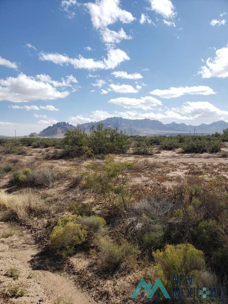 XXX SE Warm Springs Rd, Deming, New Mexico image 3