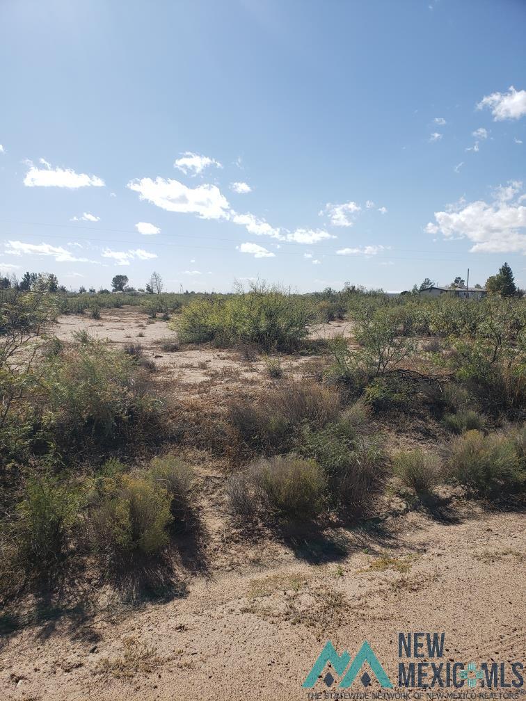 XXX SE Warm Springs Rd, Deming, New Mexico image 1