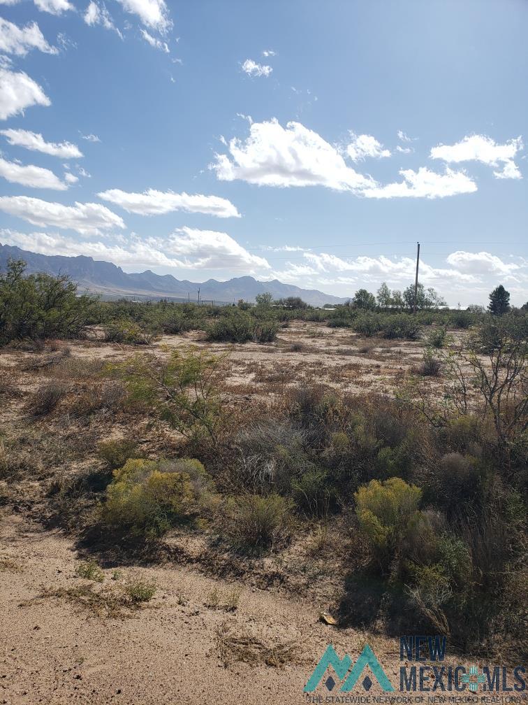 XXX SE Warm Springs Rd, Deming, New Mexico image 2
