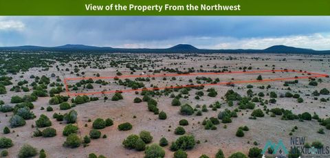 Vacant Land For Sale - 0067 W Lobo Solitario Road<br/> Grants, NM 87321