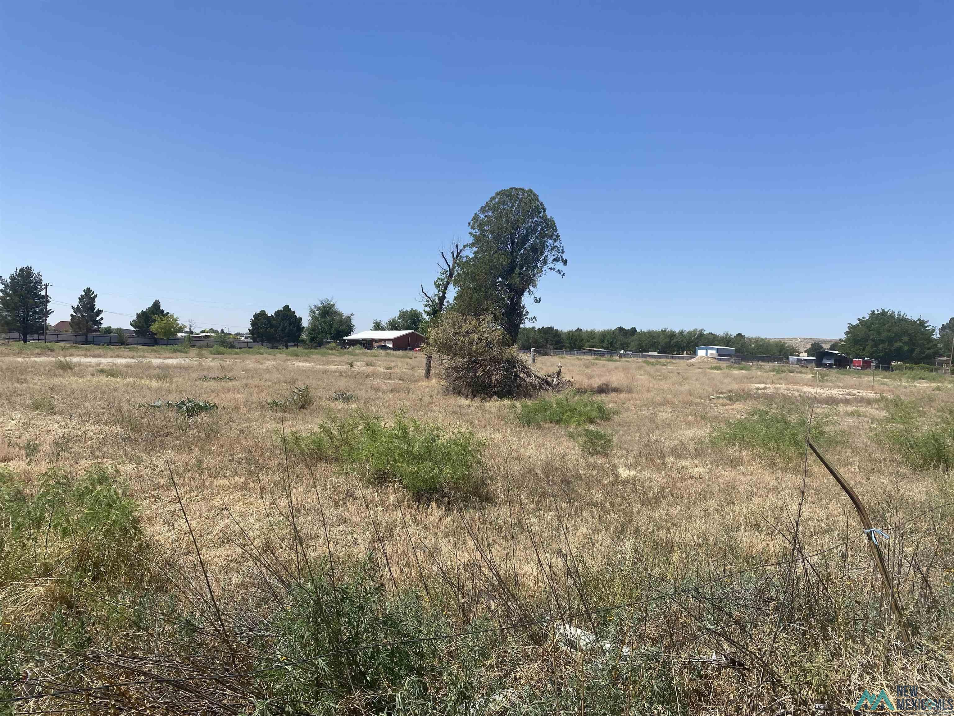 2003 Standpipe Road, Carlsbad, Texas image 3