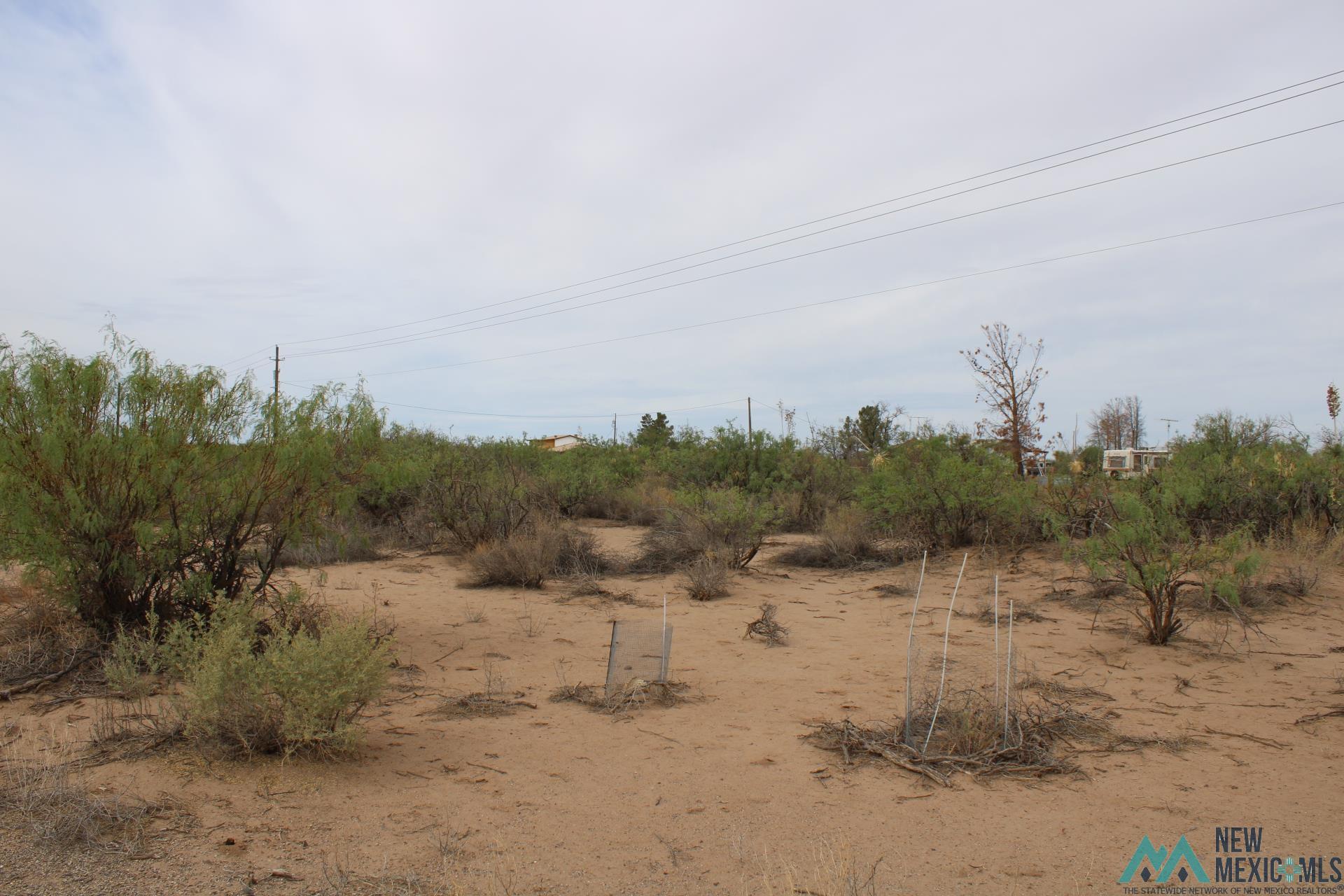 La Bajada Rd Sw, Deming, New Mexico image 10