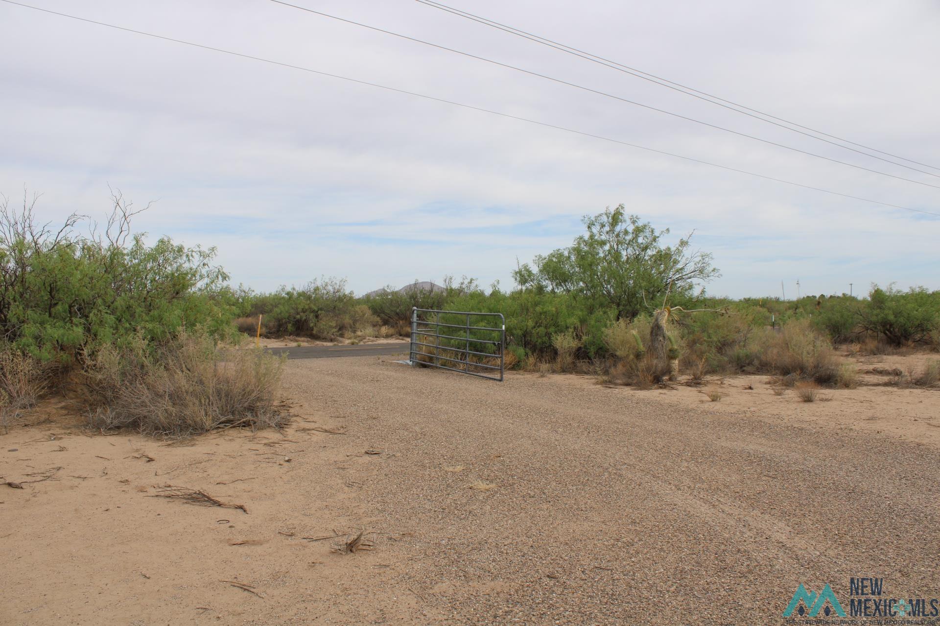 La Bajada Rd Sw, Deming, New Mexico image 12