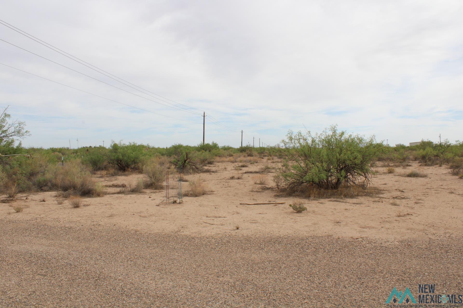 La Bajada Rd Sw, Deming, New Mexico image 13