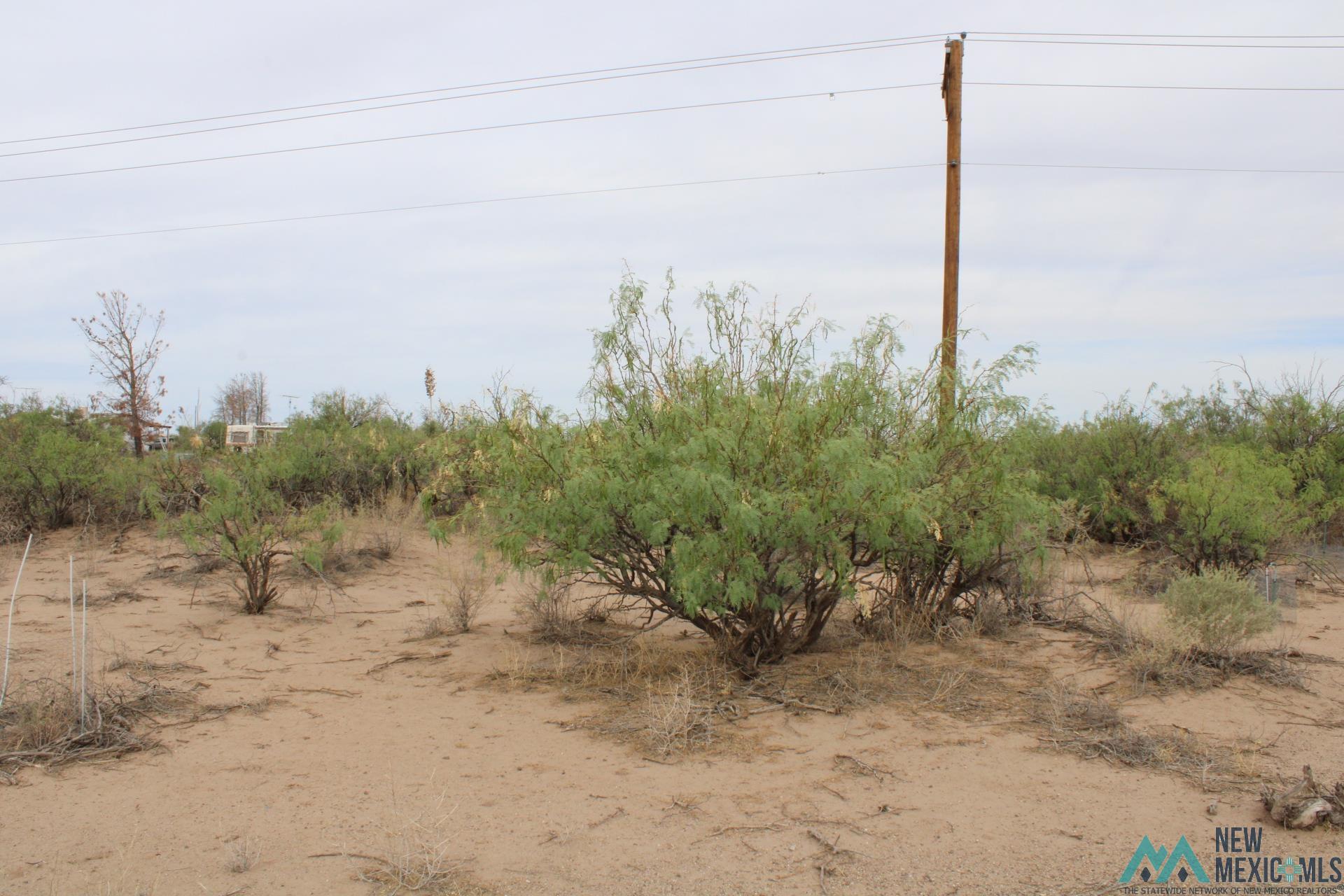 La Bajada Rd Sw, Deming, New Mexico image 11