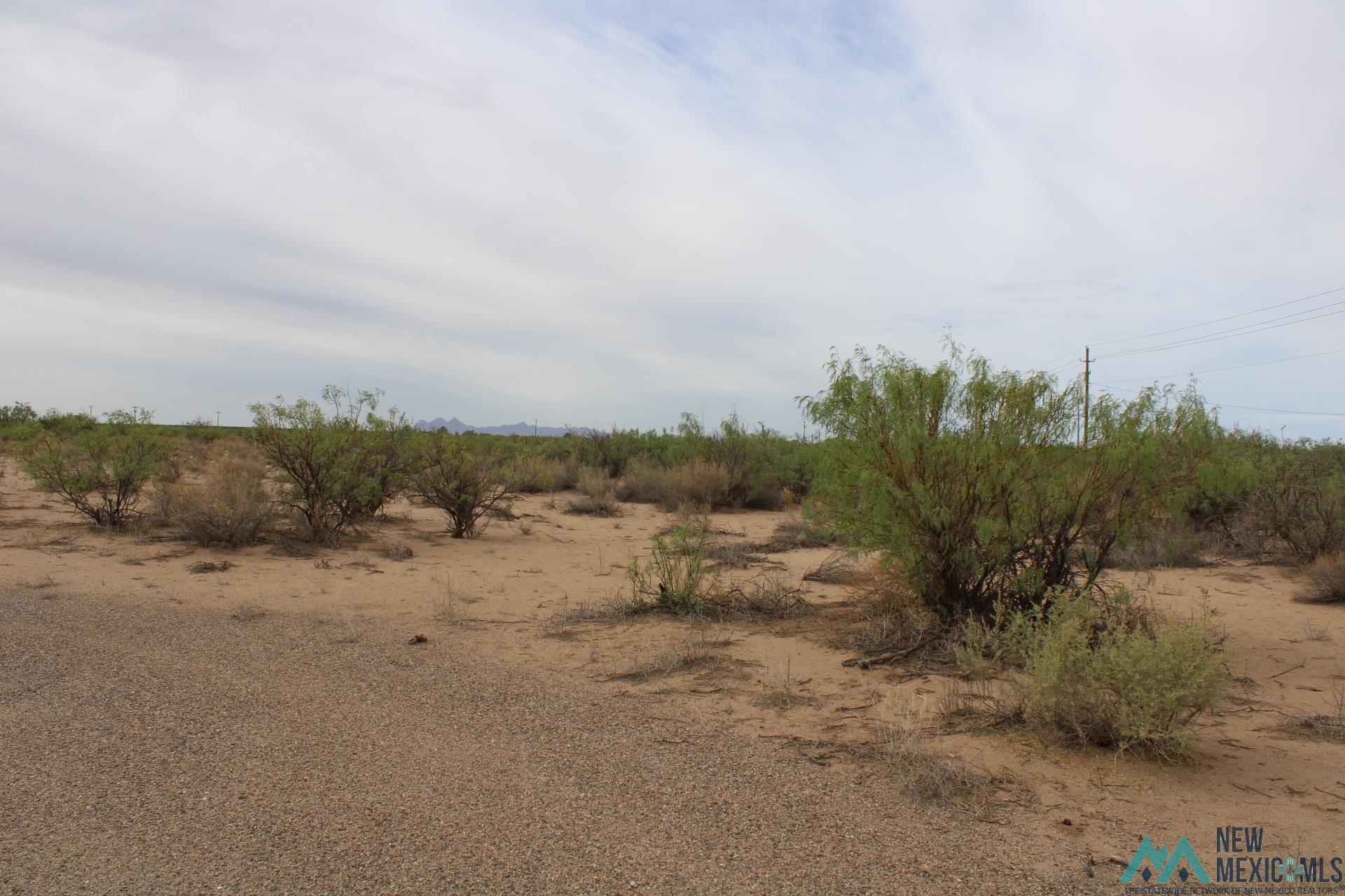 La Bajada Rd Sw, Deming, New Mexico image 9