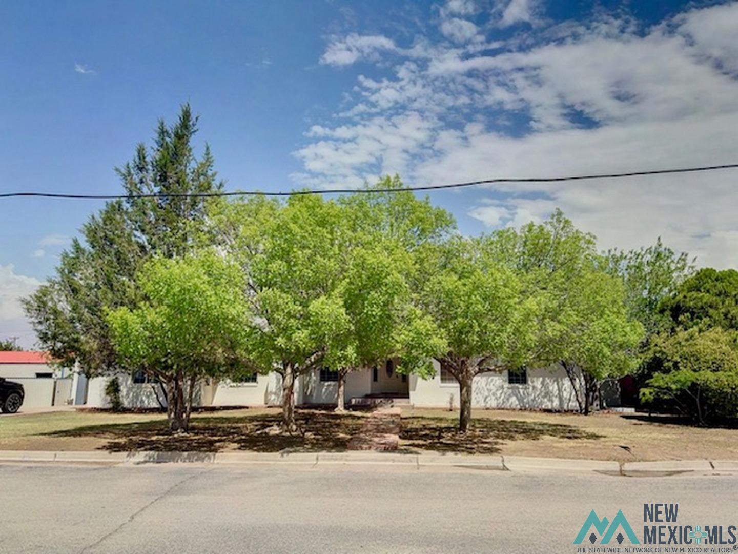 809 S Roselawn Avenue, Artesia, New Mexico image 3