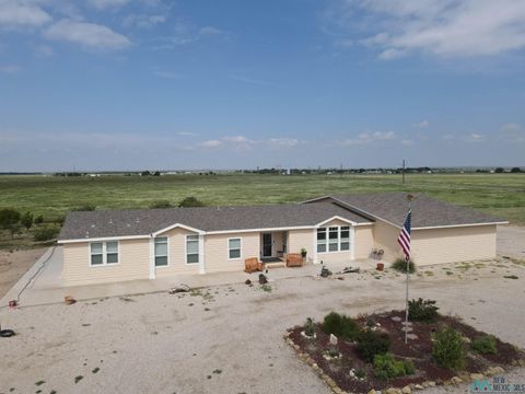 Homes For Sale - 3006 W Pine Road<br/> Roswell, NM 88201