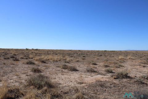 Vacant Land For Sale - Esperanza Rd Se<br/> Luna County, Deming, NM 88030