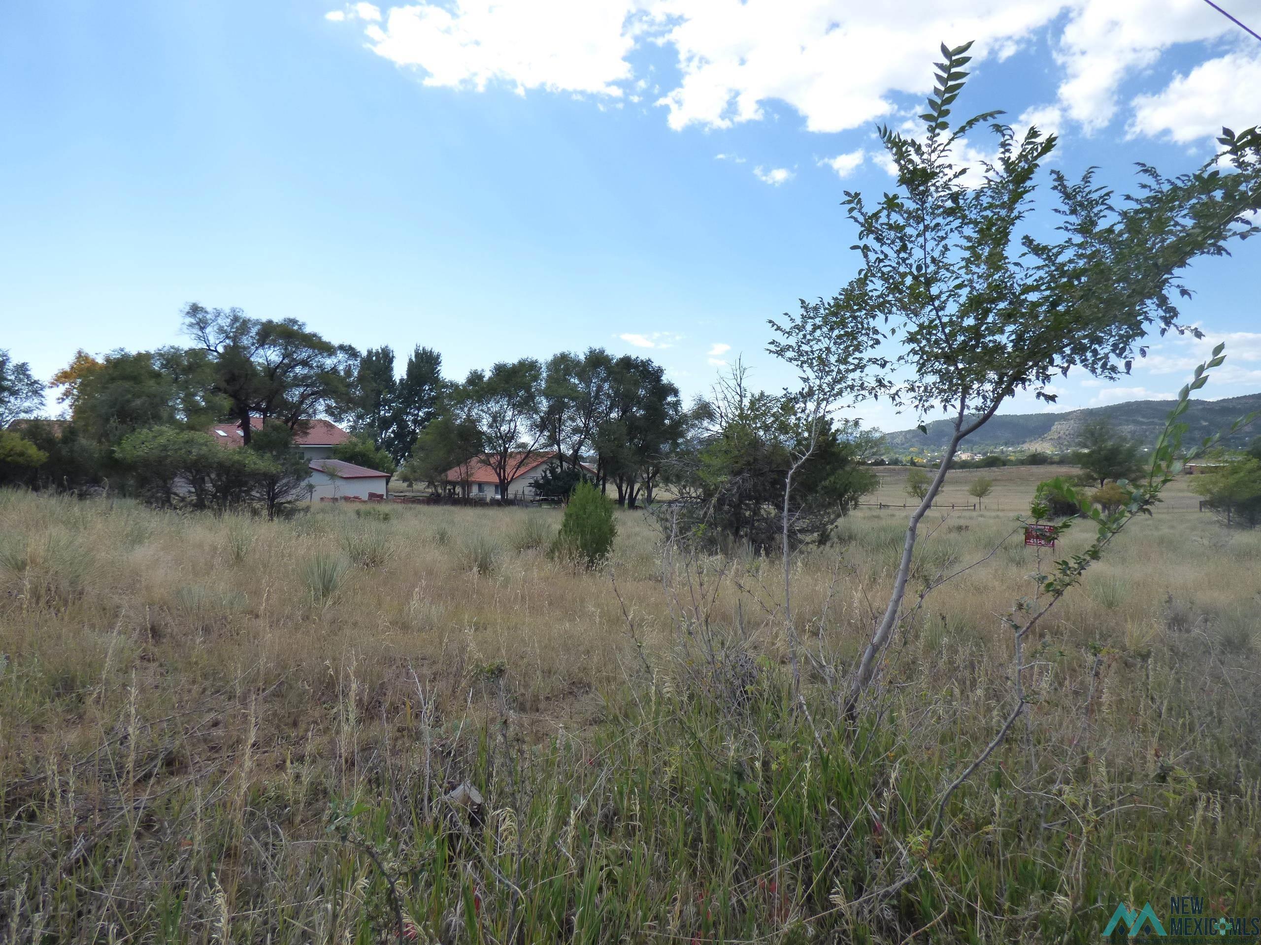 001 Stevens Street, Raton, New Mexico image 5