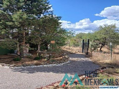 Homes For Sale - 33 Black Dog Road<br/> Silver City, NM 88061