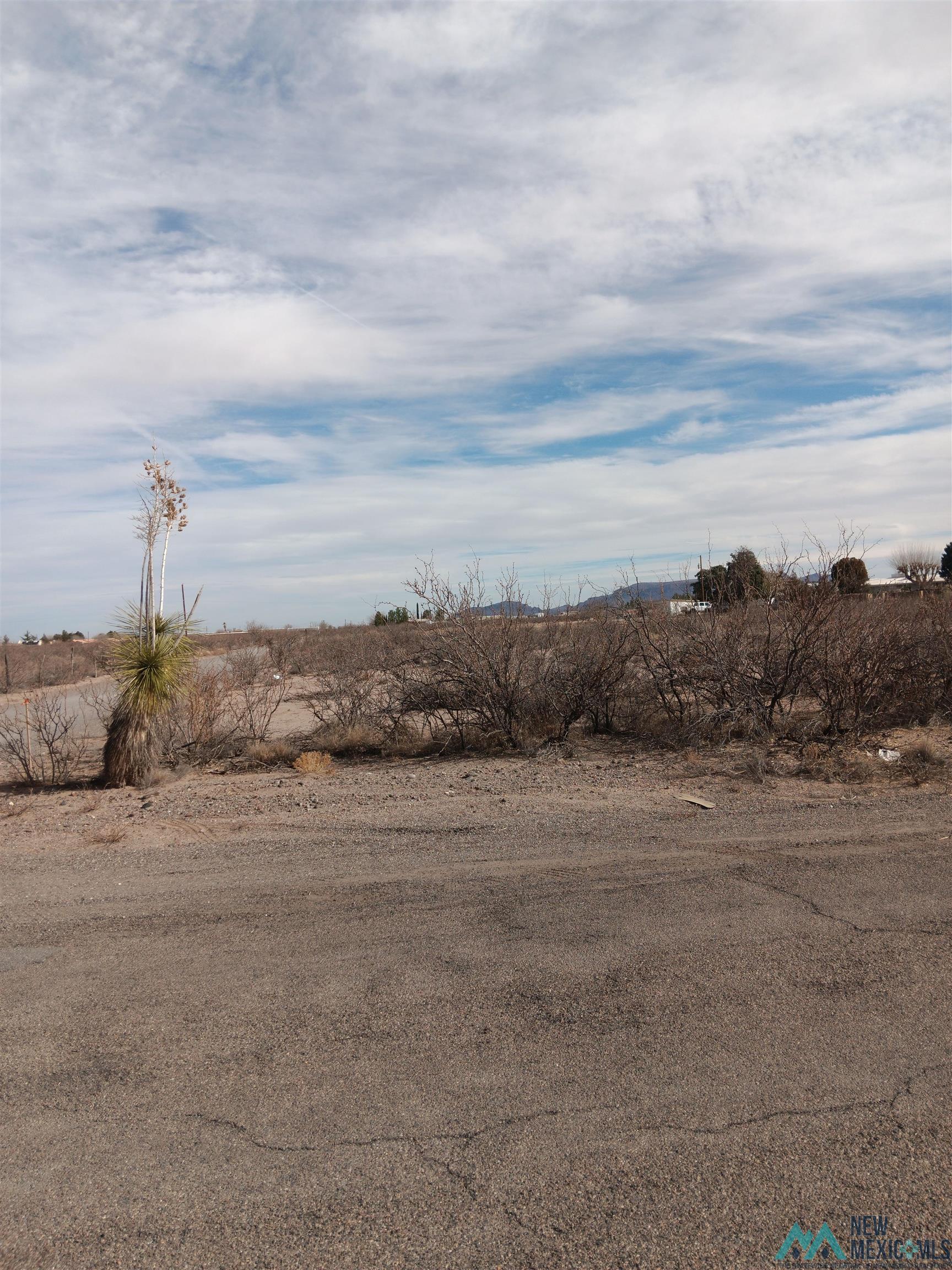 S Saddler Street, Deming, Texas image 1