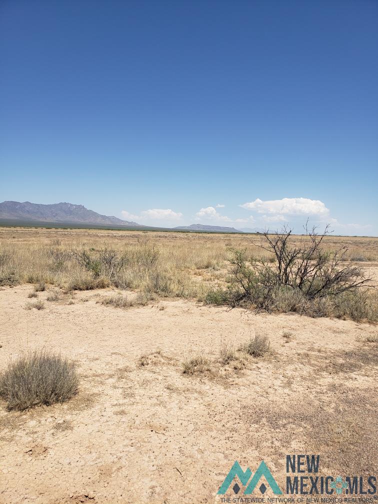 XXXX Medano Rd Se, Deming, New Mexico image 1