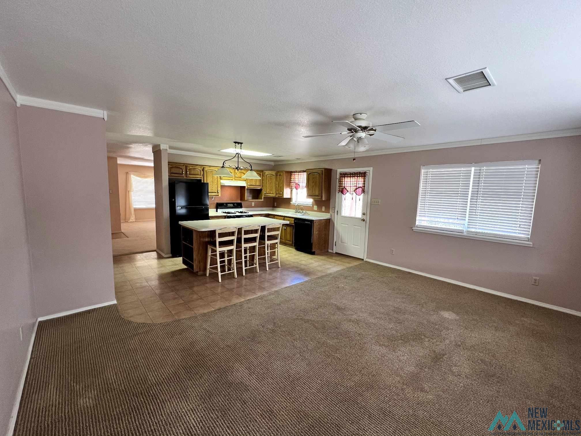 113 Fairway Dr, Dexter, New Mexico image 5