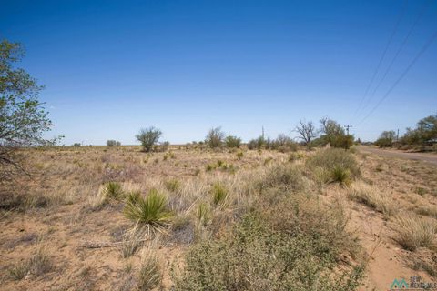 Vacant Land For Sale - LOT: 3 Block 3<br/> Willard, NM 87063