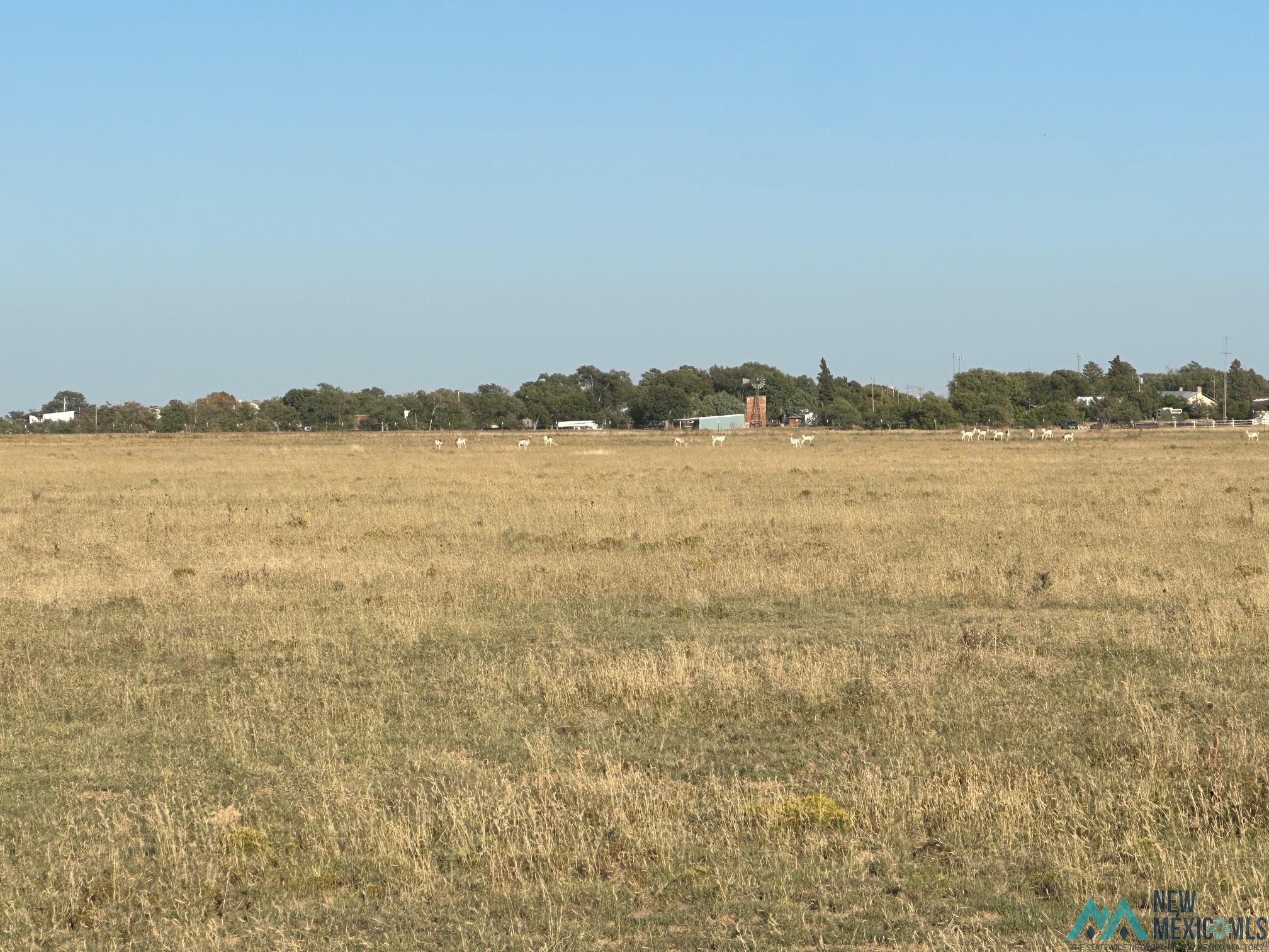 735 Wagon Mound Road, Roy, Texas image 19