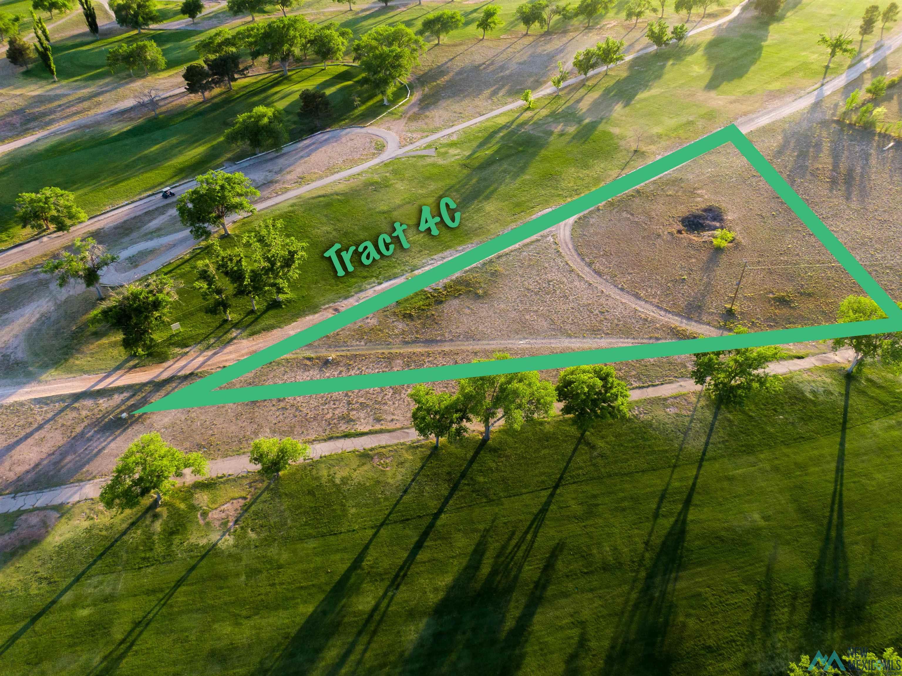 1209 S Fairway Drive, Lovington, Texas image 1