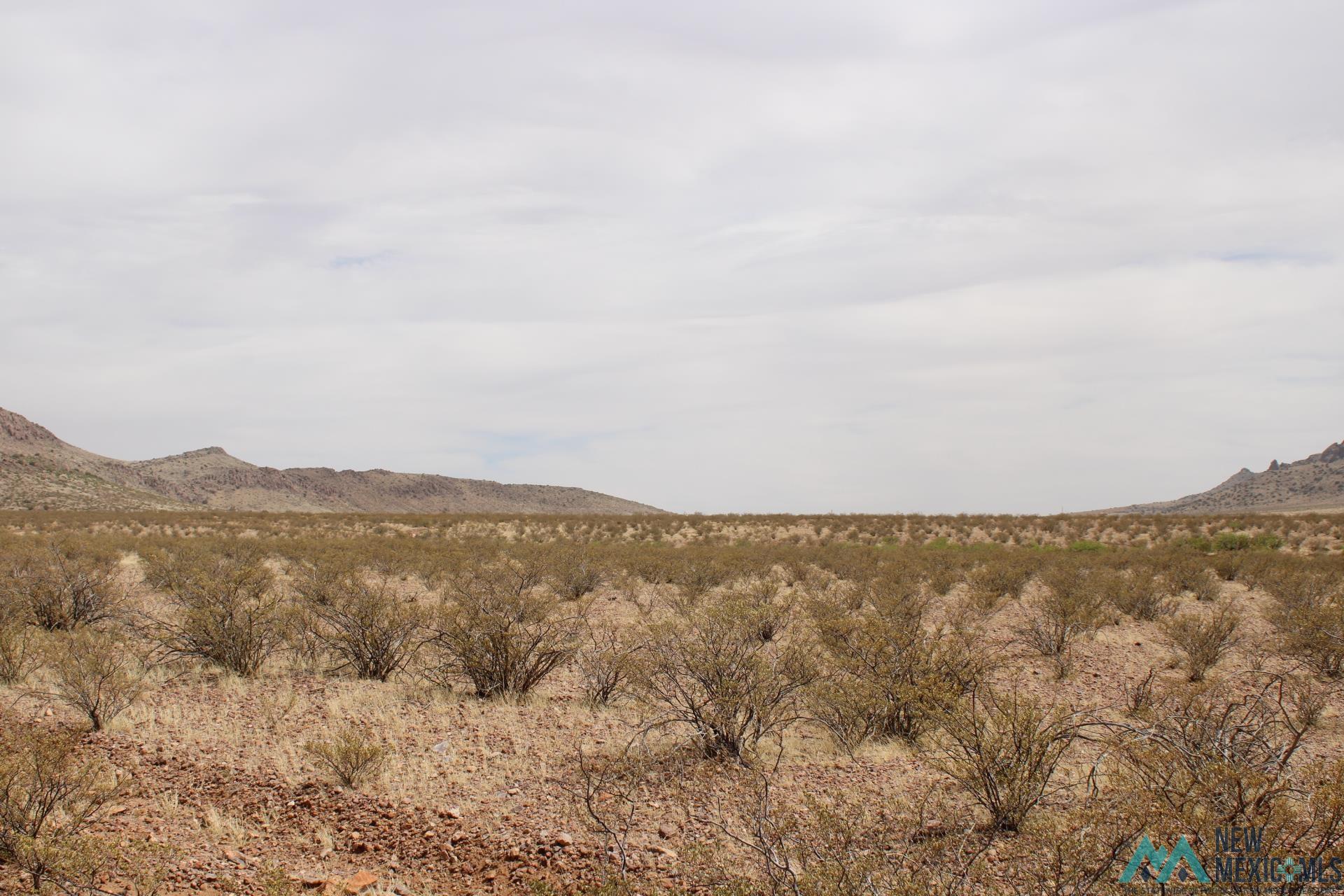 Wagon Wheel Rd Se, Deming, New Mexico image 10