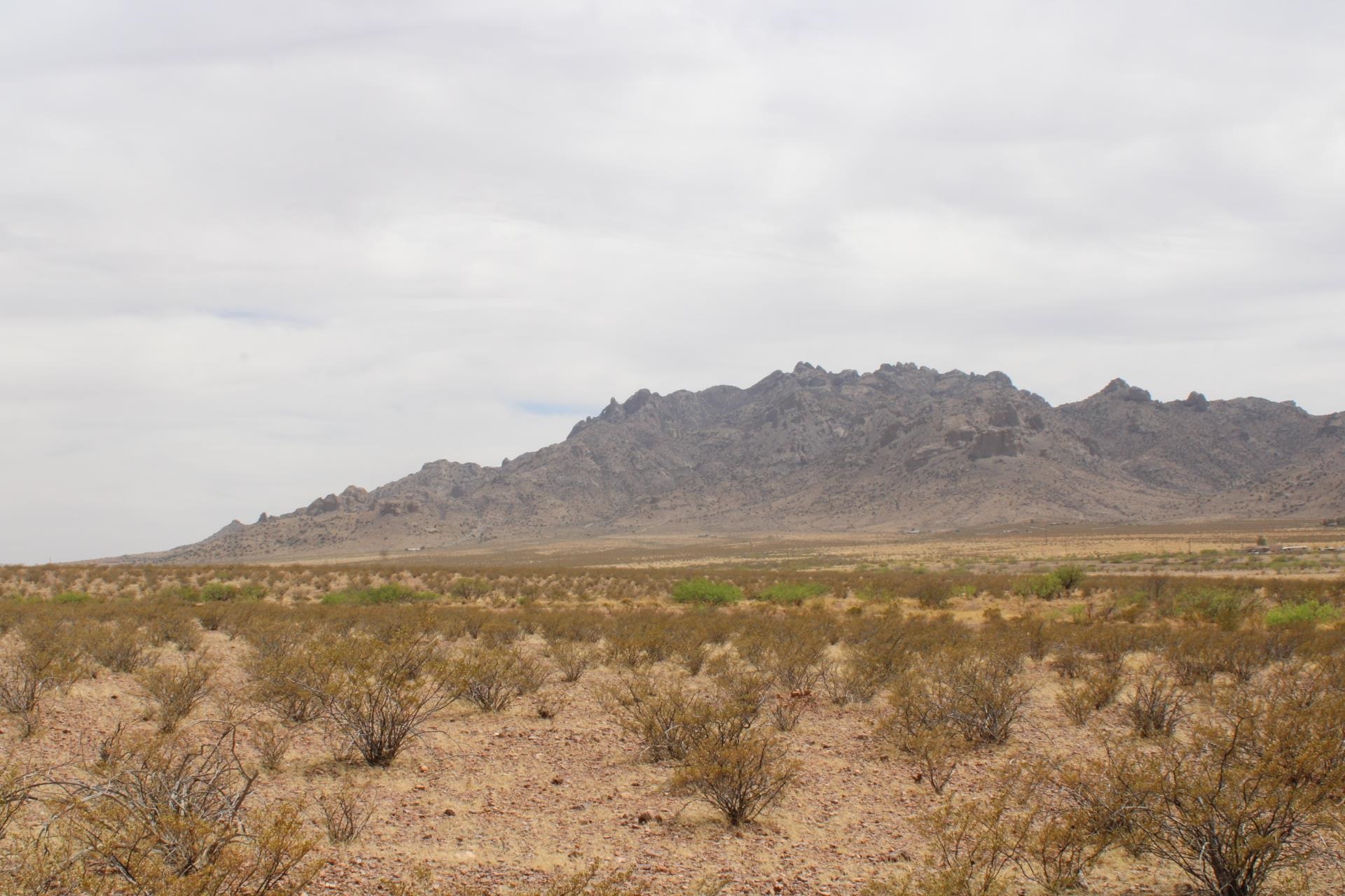 Wagon Wheel Rd Se, Deming, New Mexico image 11