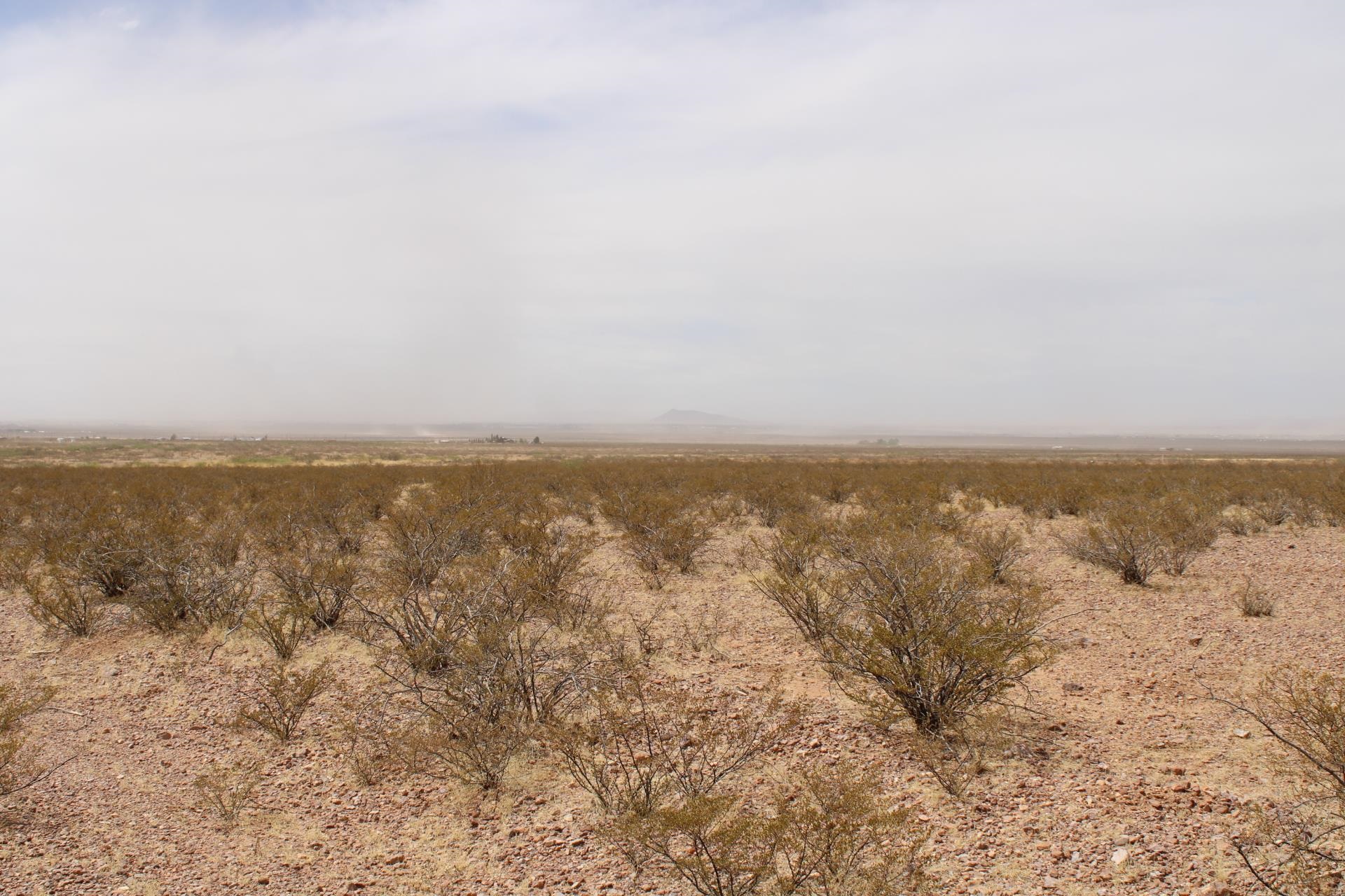 Wagon Wheel Rd Se, Deming, New Mexico image 4