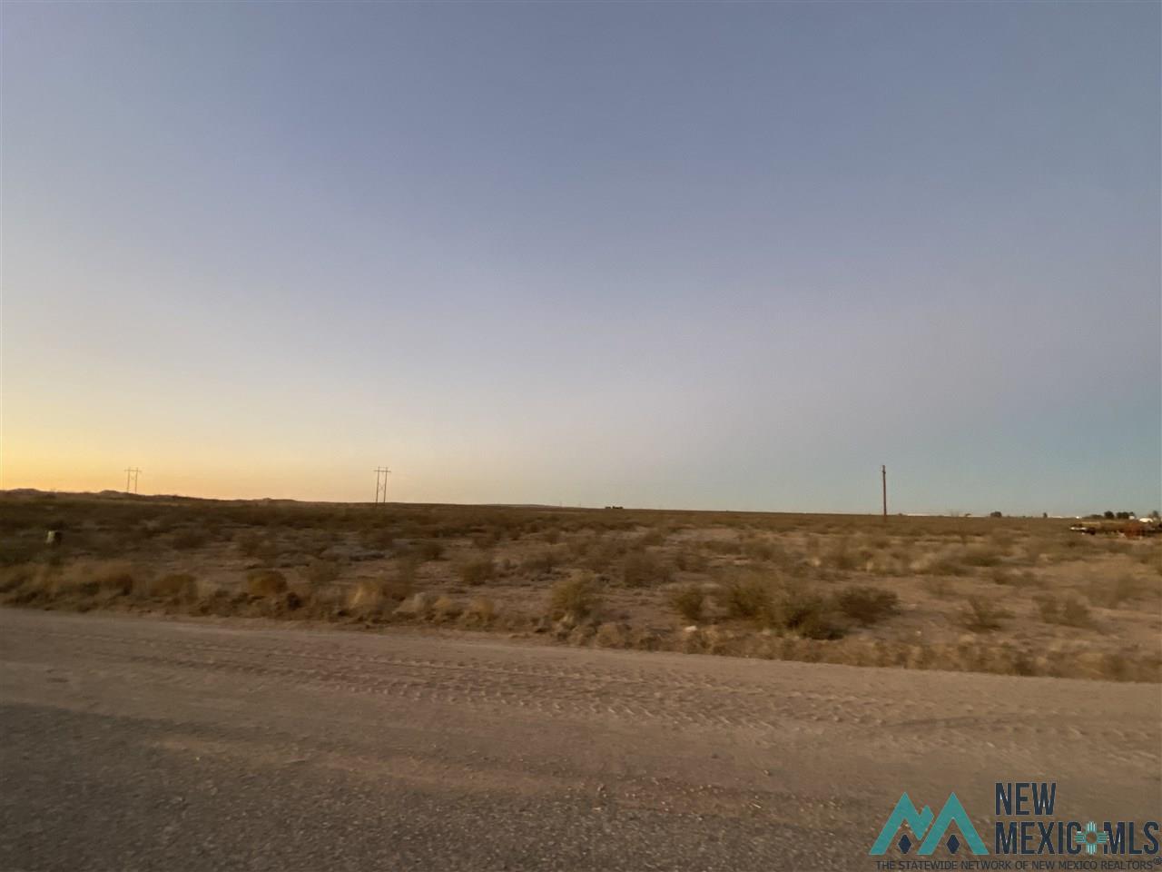 Lot 5B N Tagwood Lane, Carlsbad, New Mexico image 4