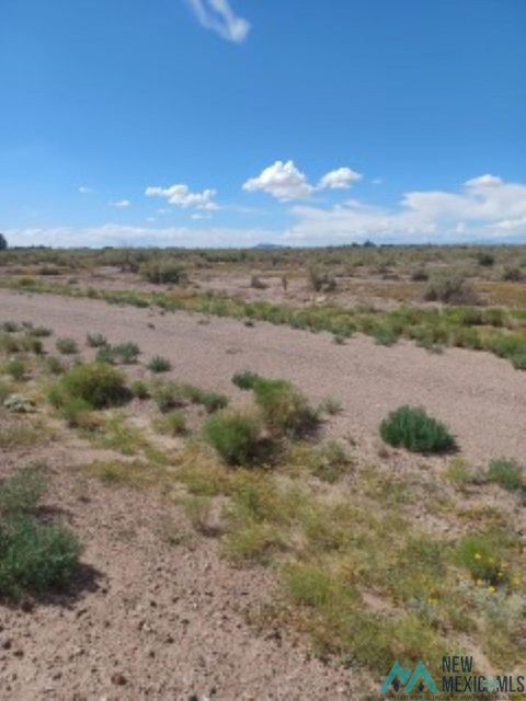 Vacant Land For Sale - LOT 22 Tbd Maverick Road<br/> Deming, NM 88030