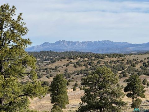 Vacant Land For Sale - Garth Tract Road<br/> Rio Arriba County, Los Ojos, NM 87551