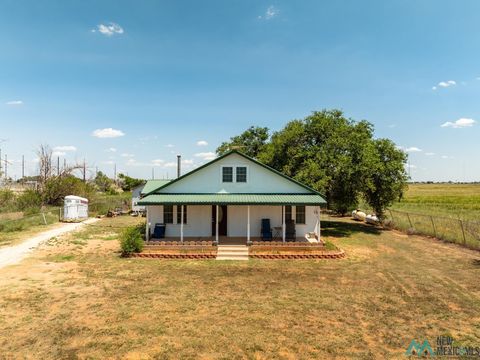 Homes For Sale - 71 Nm 467 Highway<br/> Portales, NM 88130
